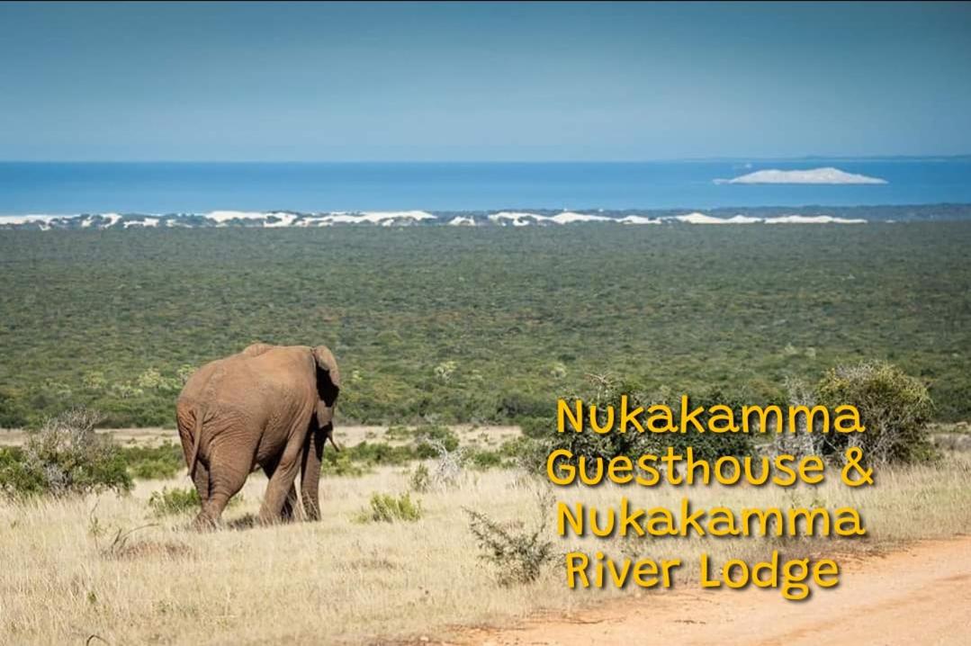 Nukakamma Guest House