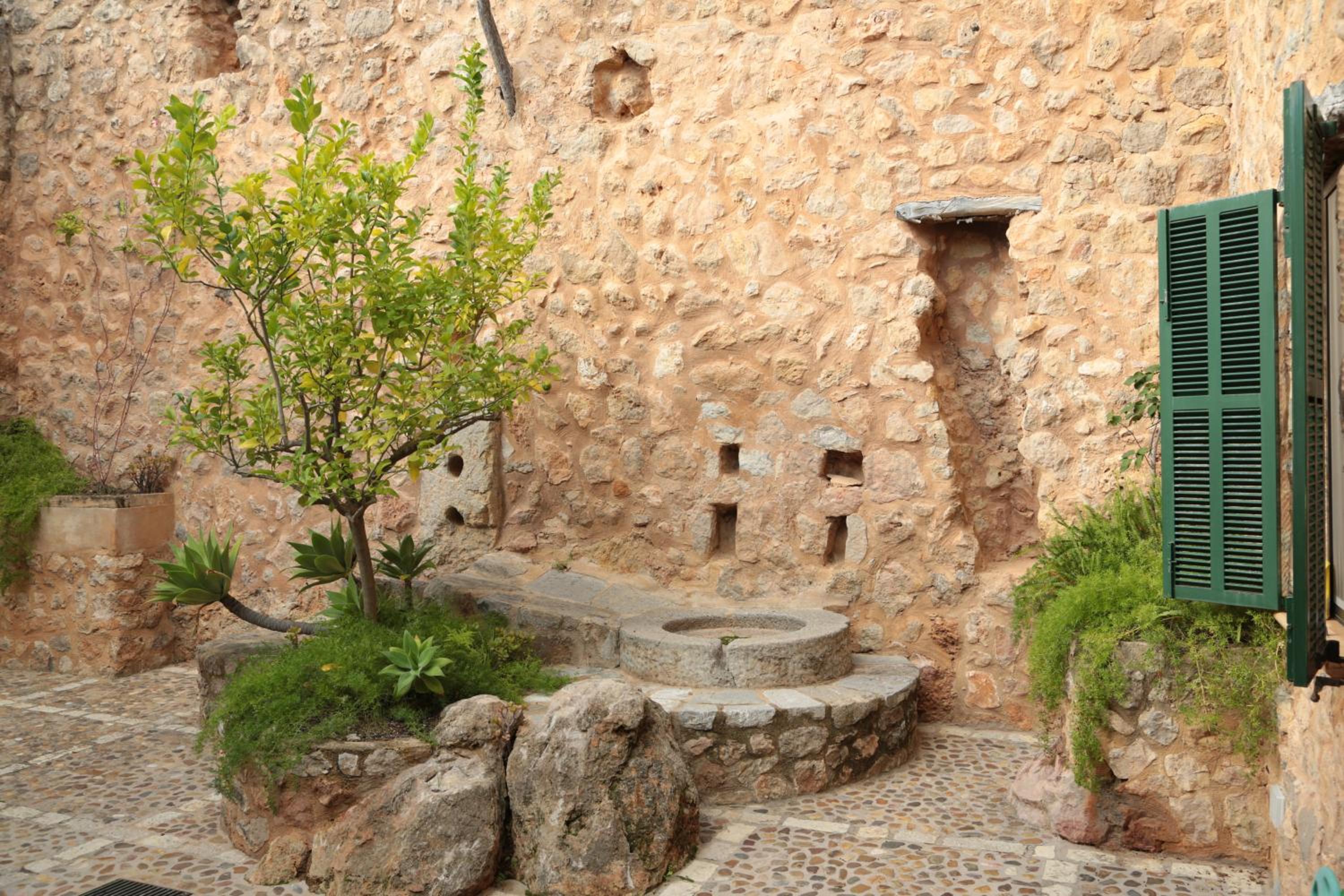 Photo 41