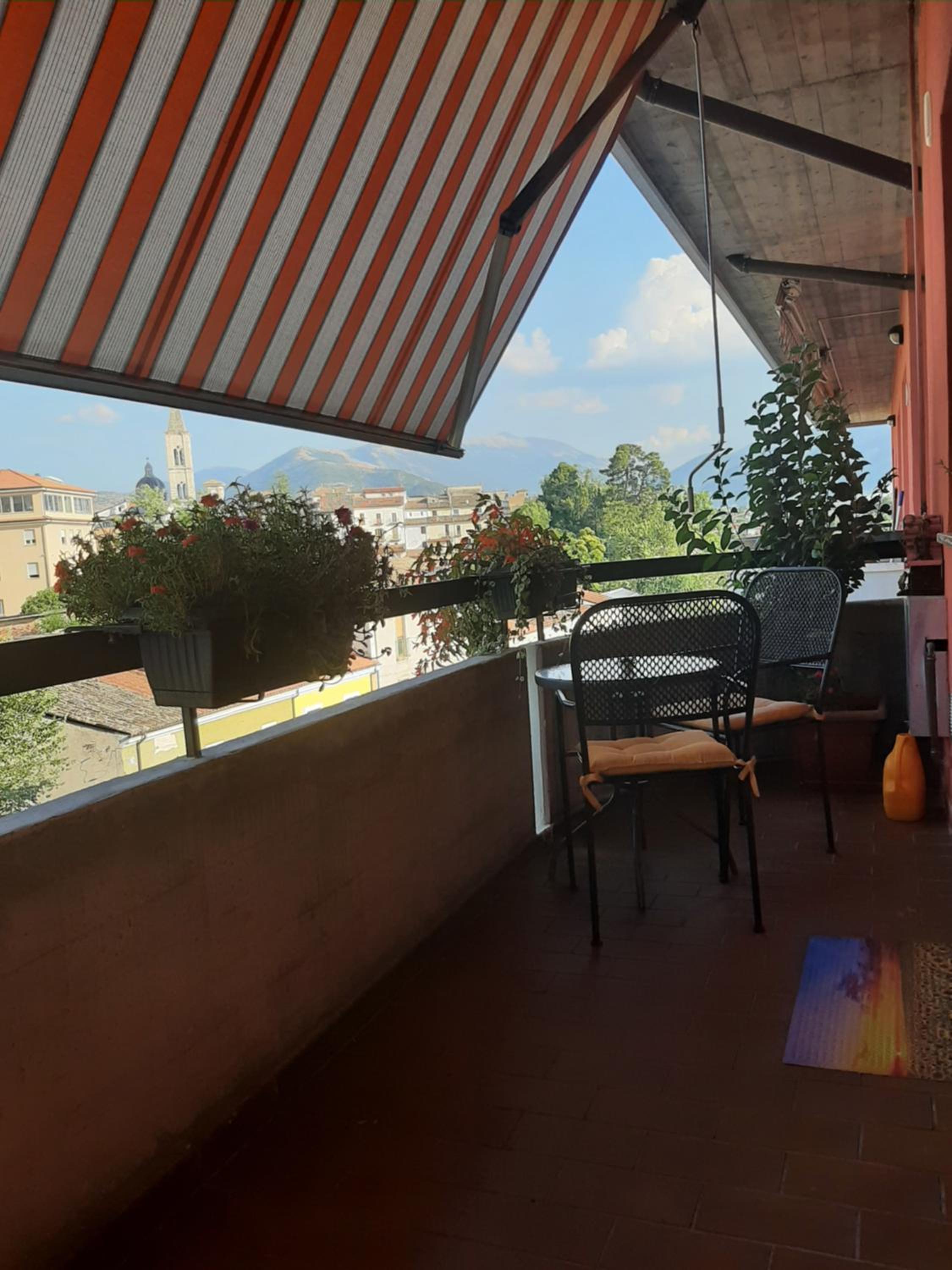 Gufo Azzurro photo 3