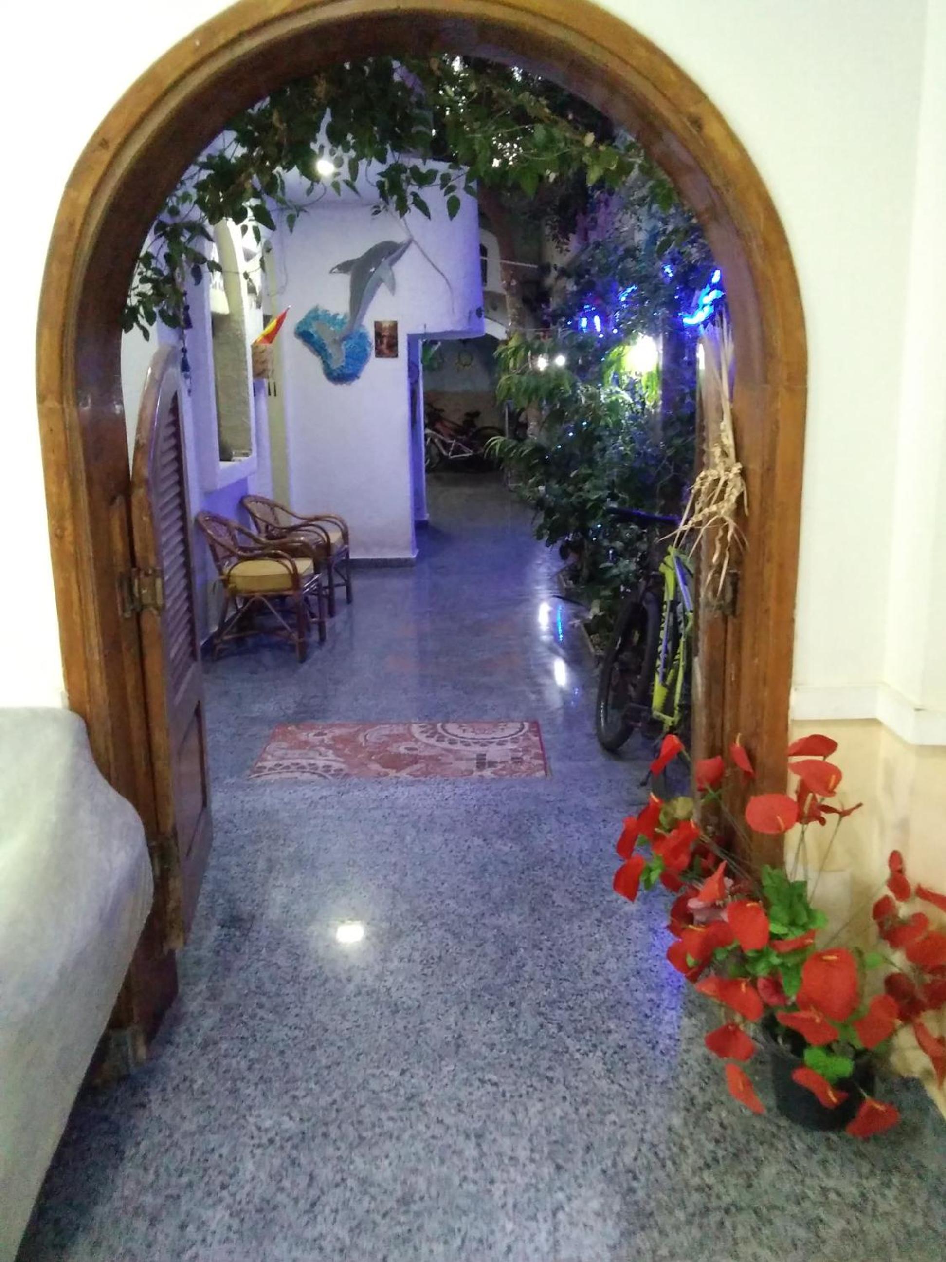Photo 26