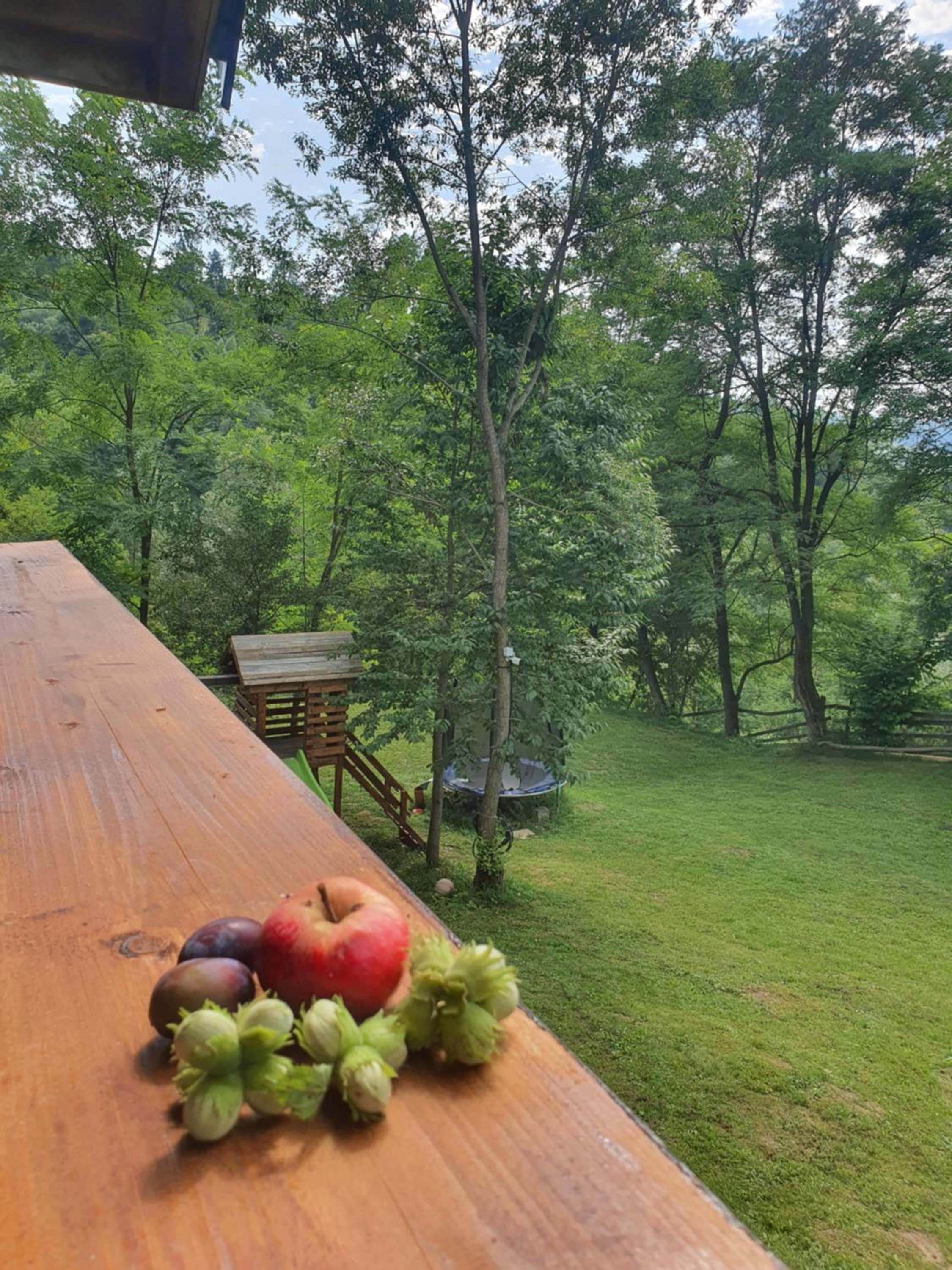 Forest House Doftana