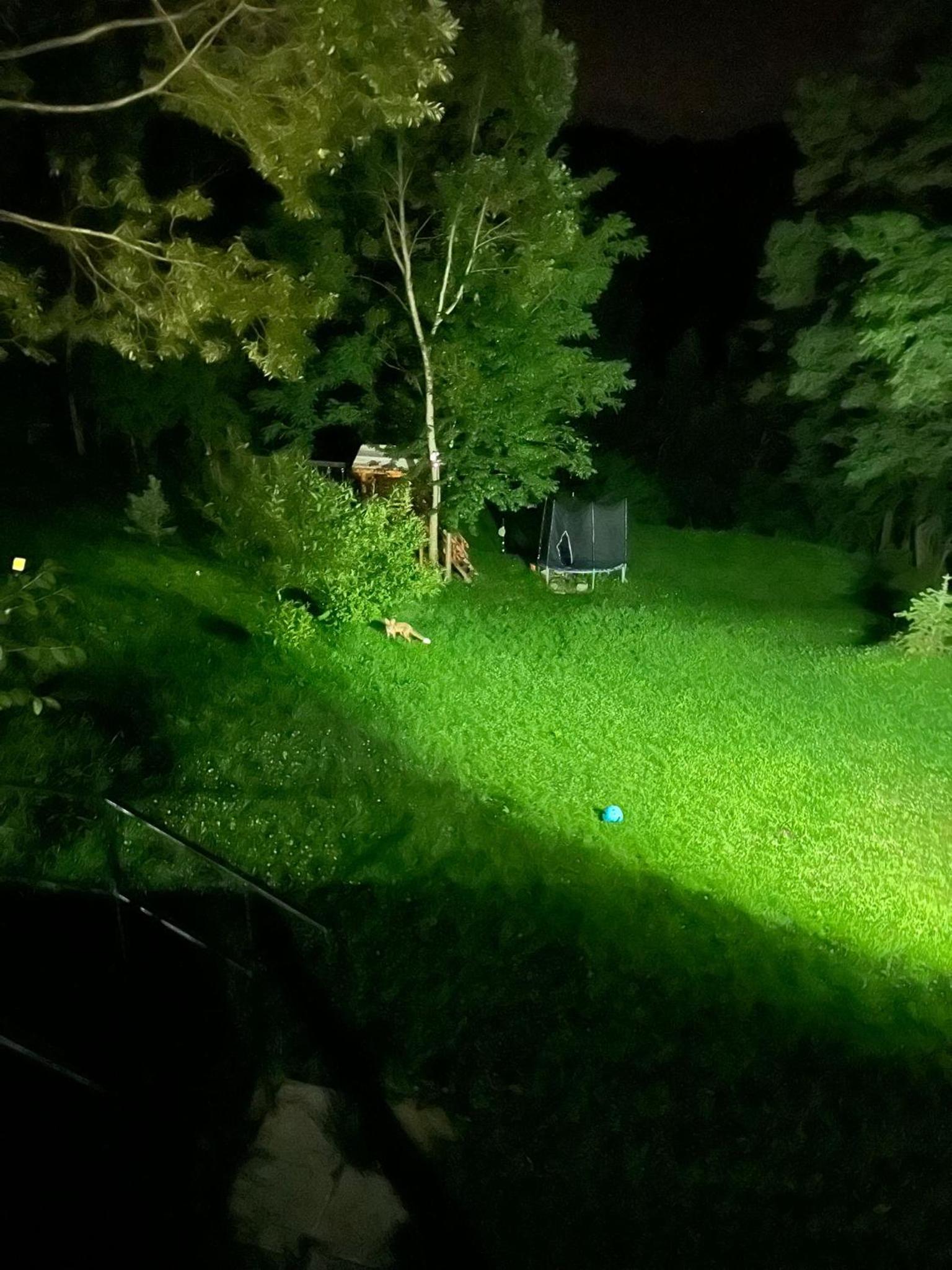 Forest House Doftana