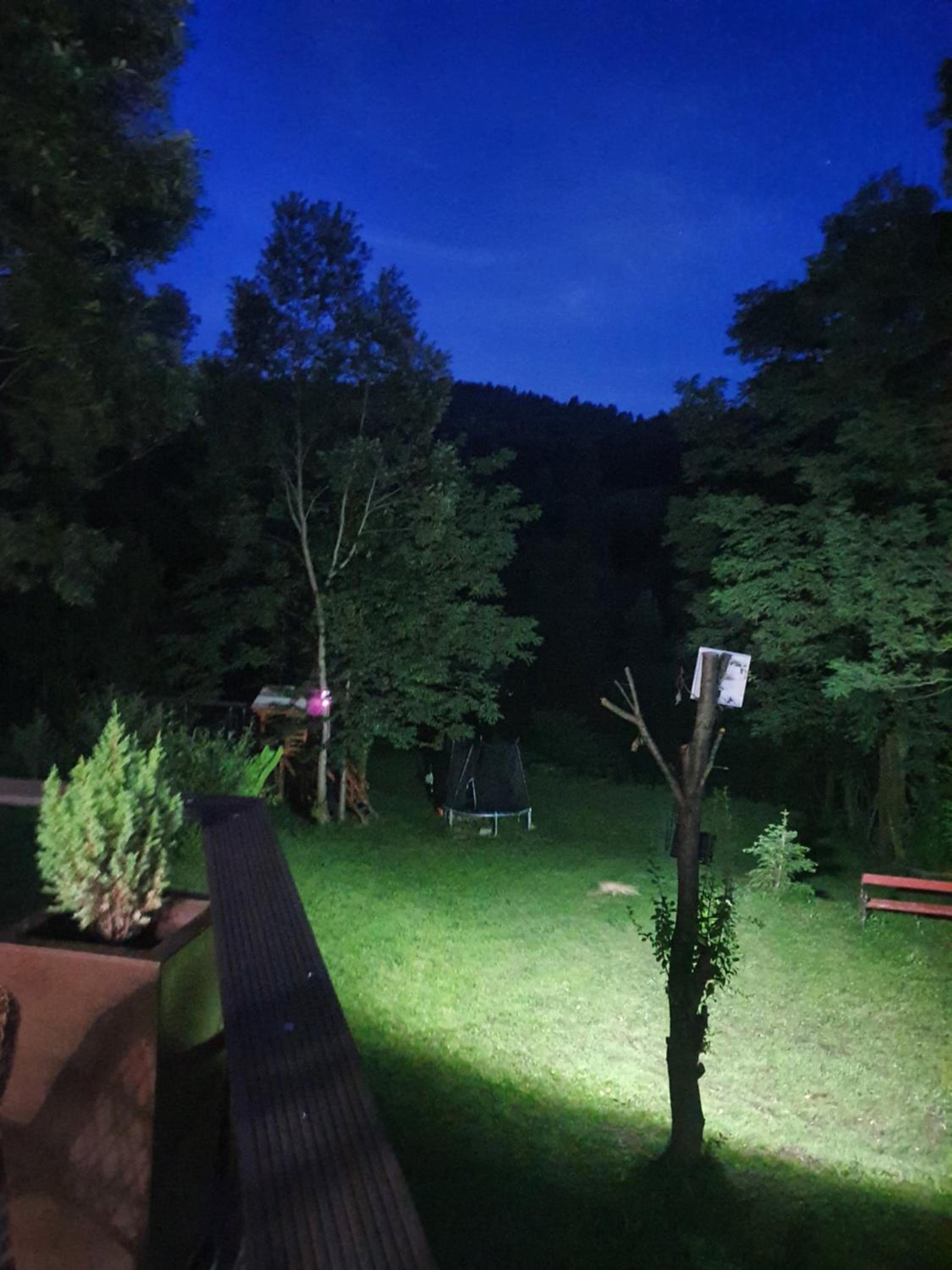 Forest House Doftana