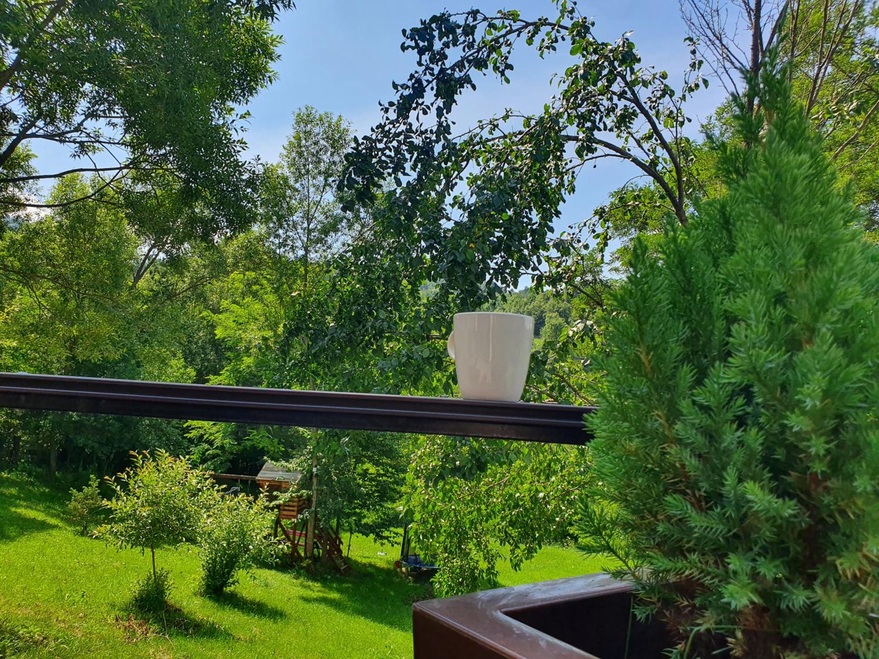 Forest House Doftana