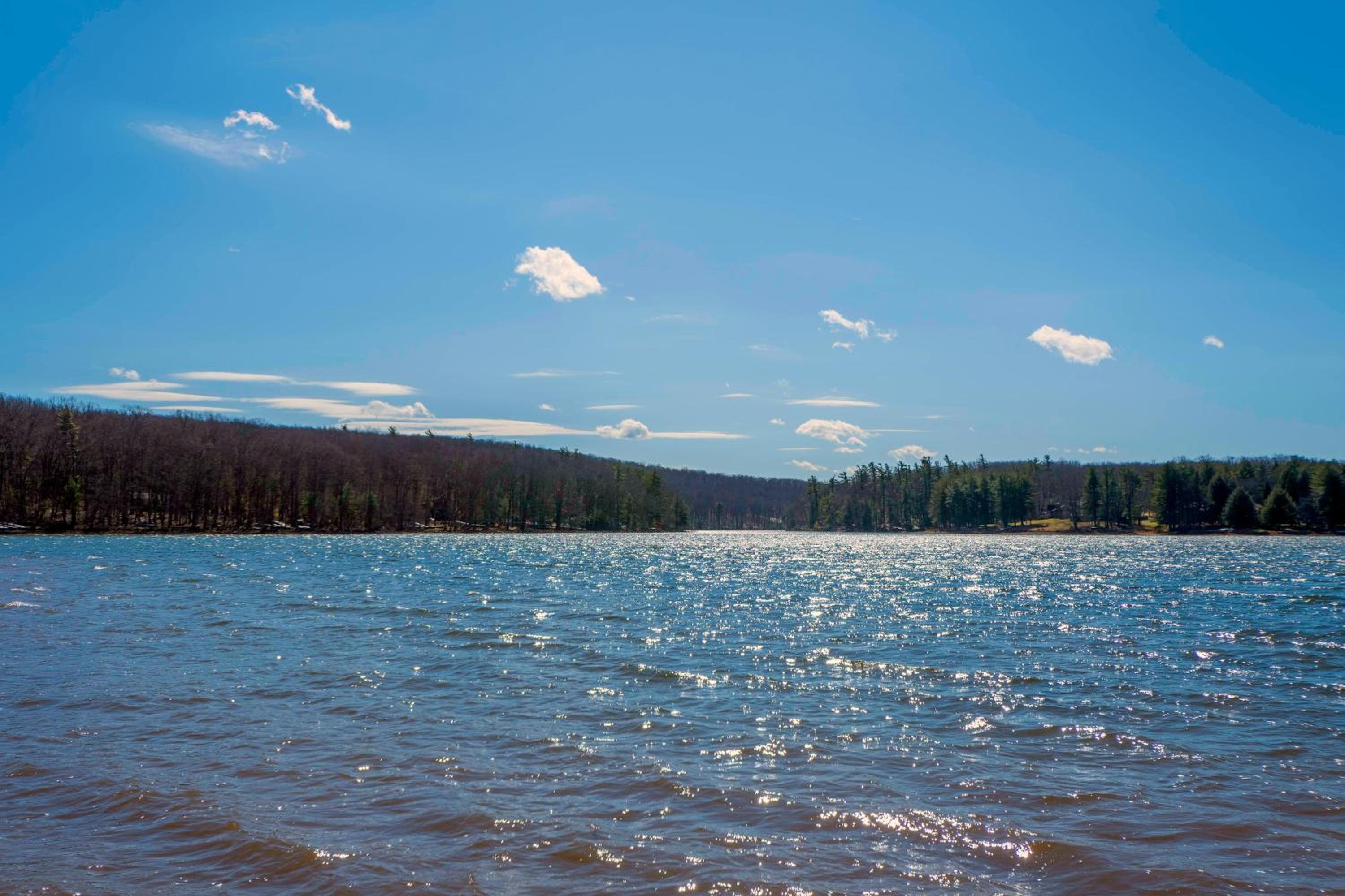 Lucky Bear Lakeside view 5