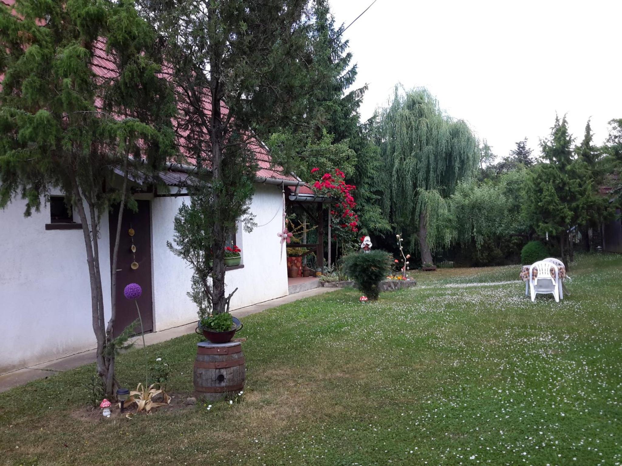 Photo 35
