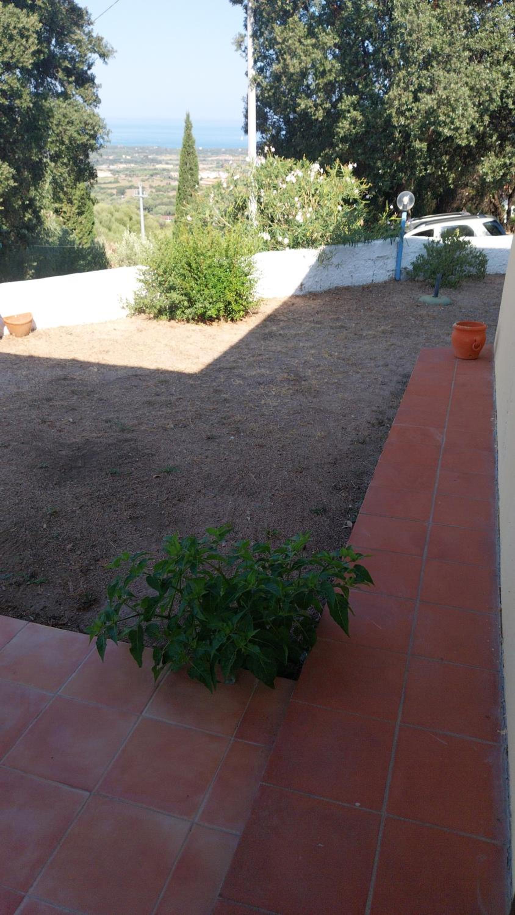Photo 31