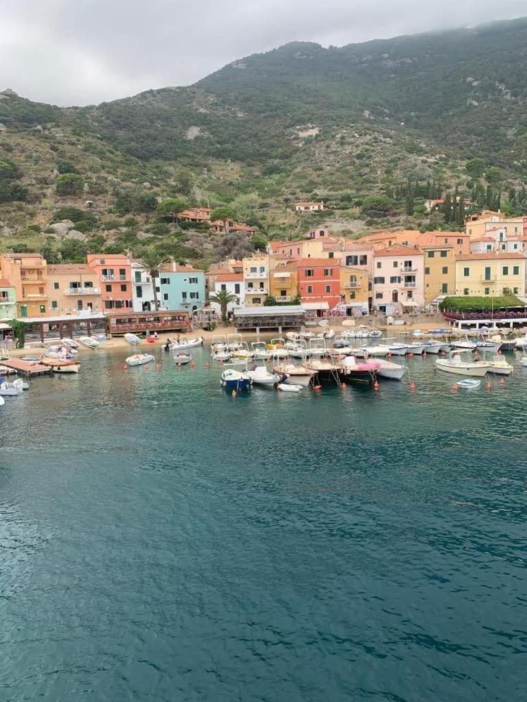 Isola del Giglio casa Nico e casa Camilla Monticello Giglio Porto