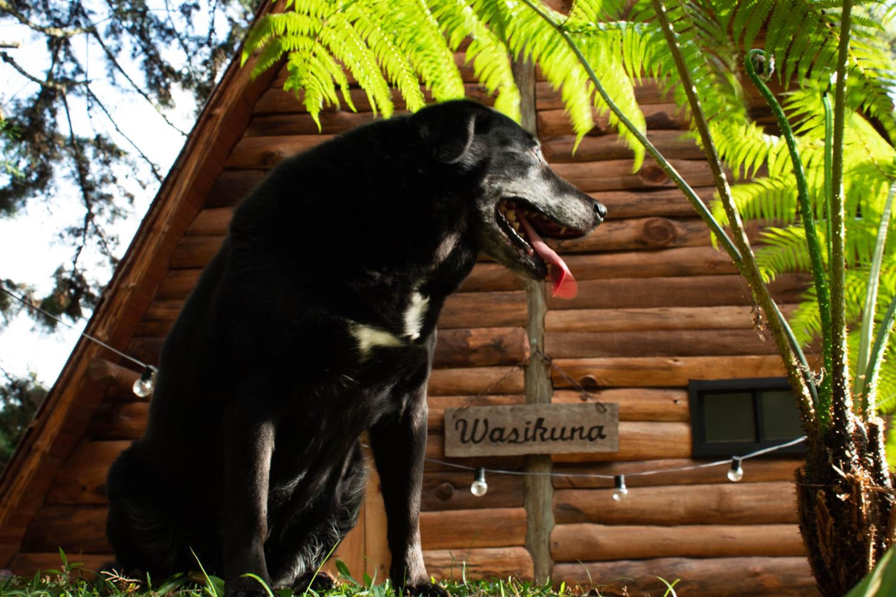 Glamping con jacuzzi cerca a Medellin