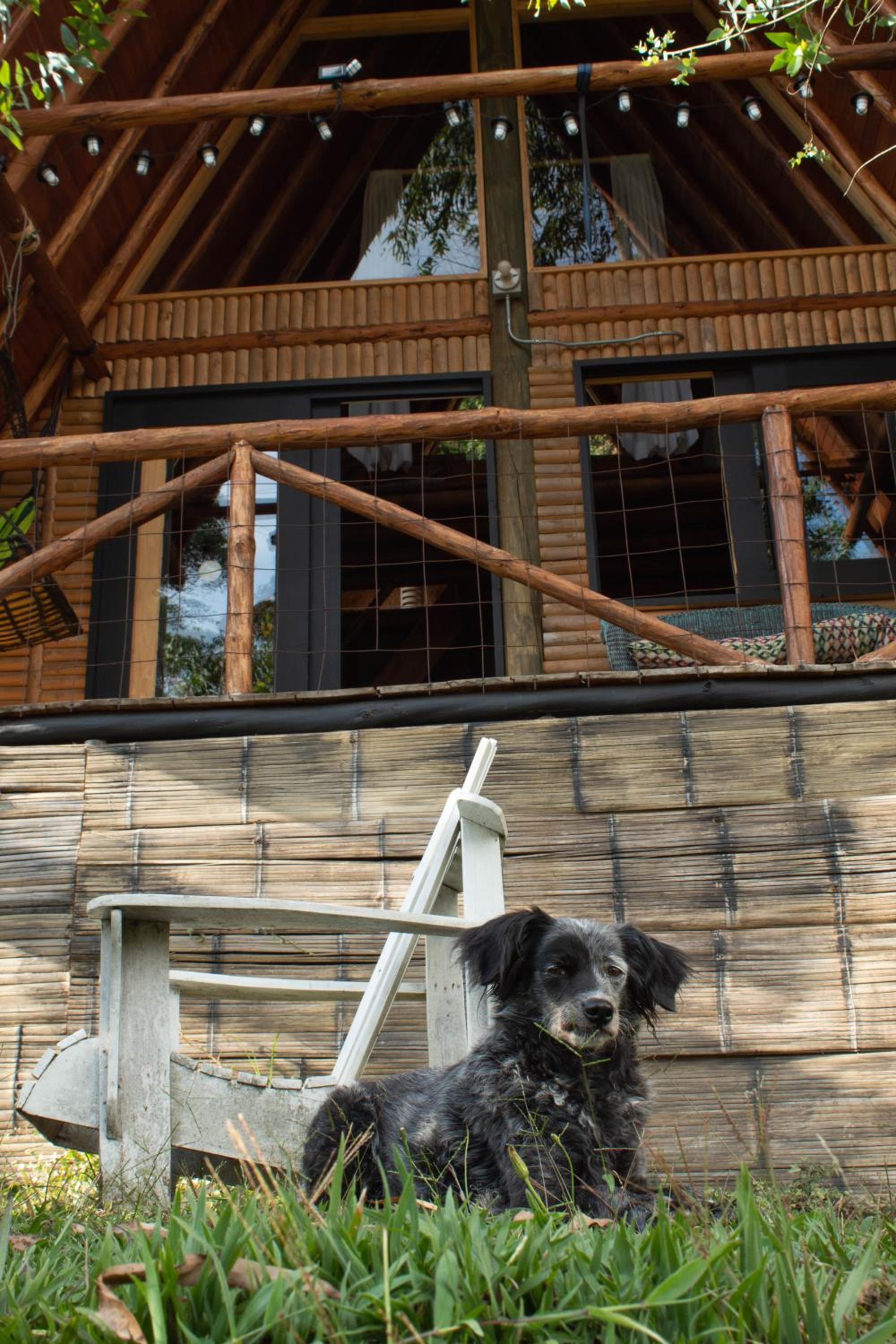 Glamping con jacuzzi cerca a Medellin