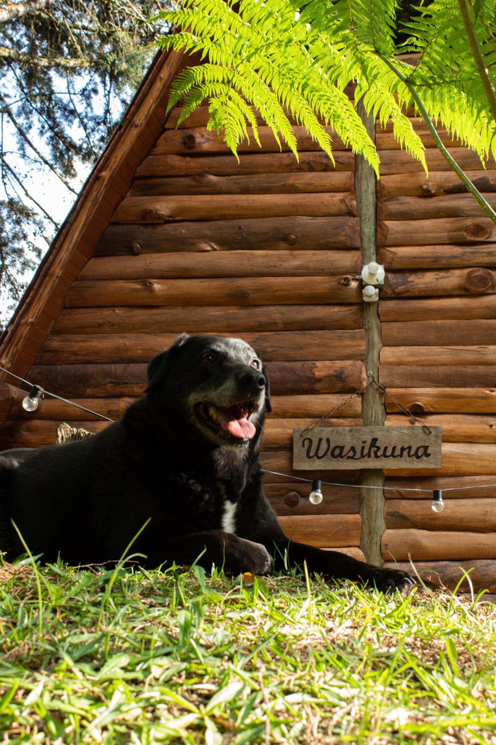 Glamping con jacuzzi cerca a Medellin