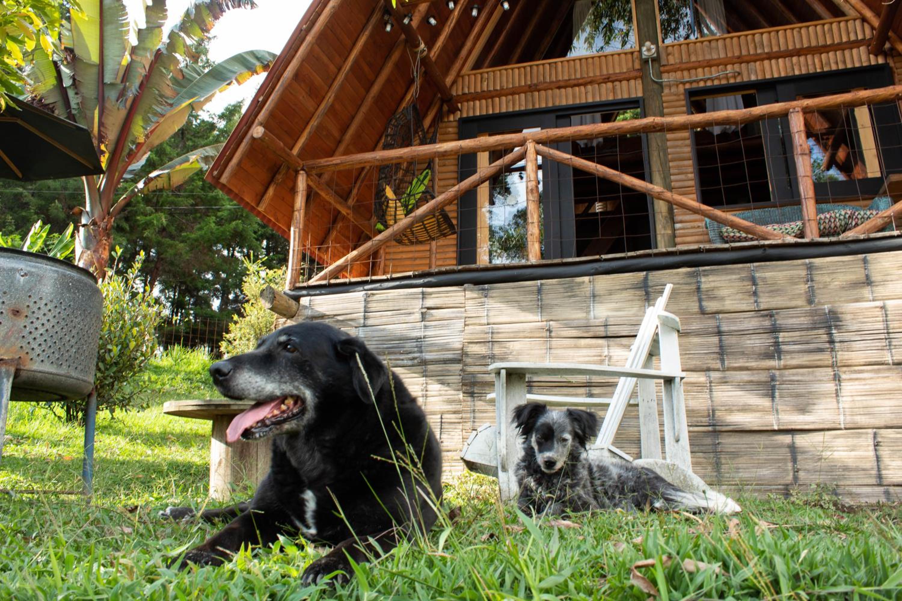 Glamping con jacuzzi cerca a Medellin