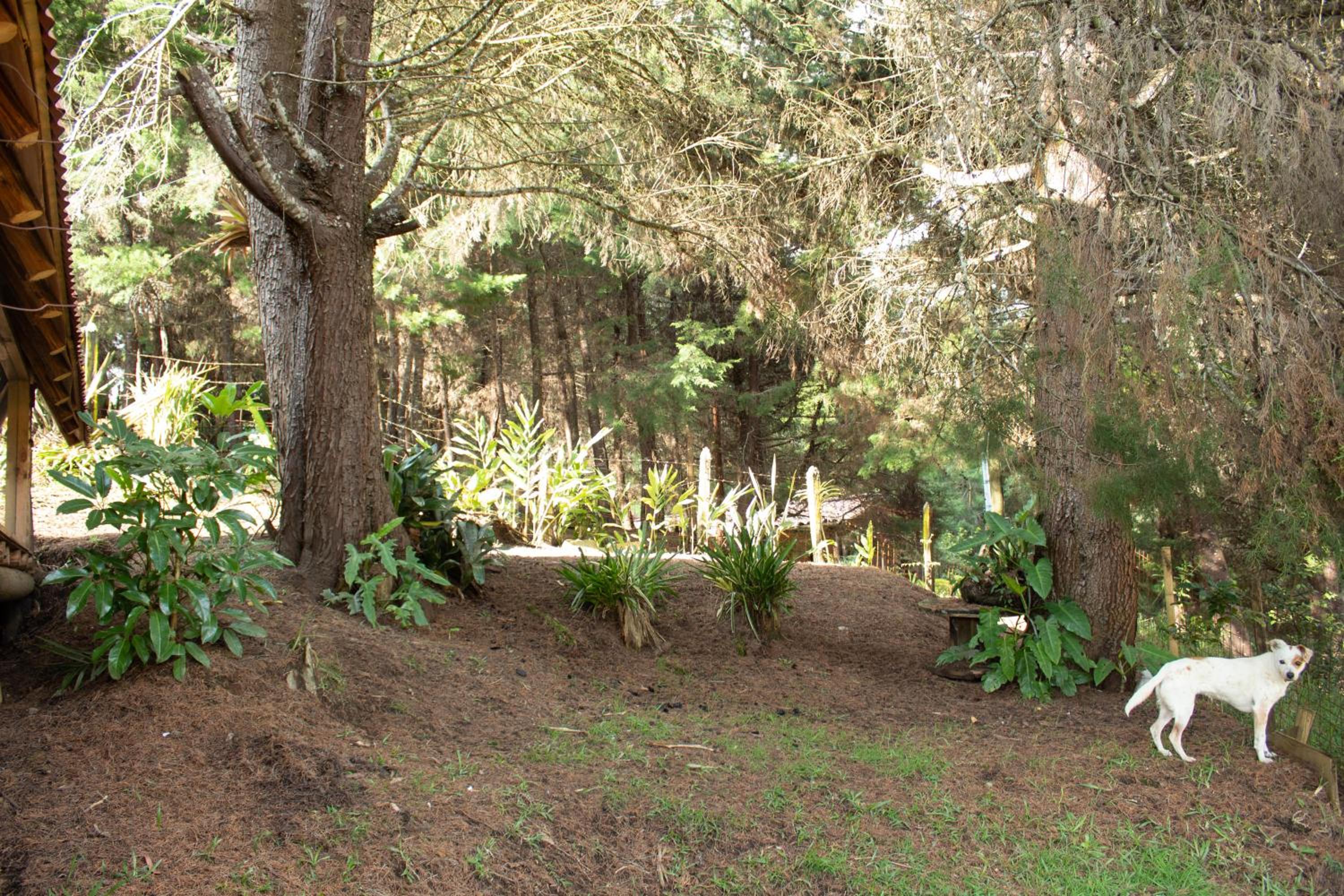Glamping con jacuzzi cerca a Medellin