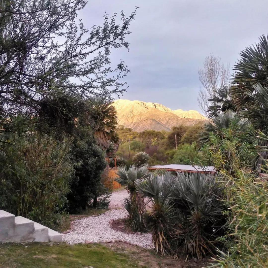 Palmares al cerro