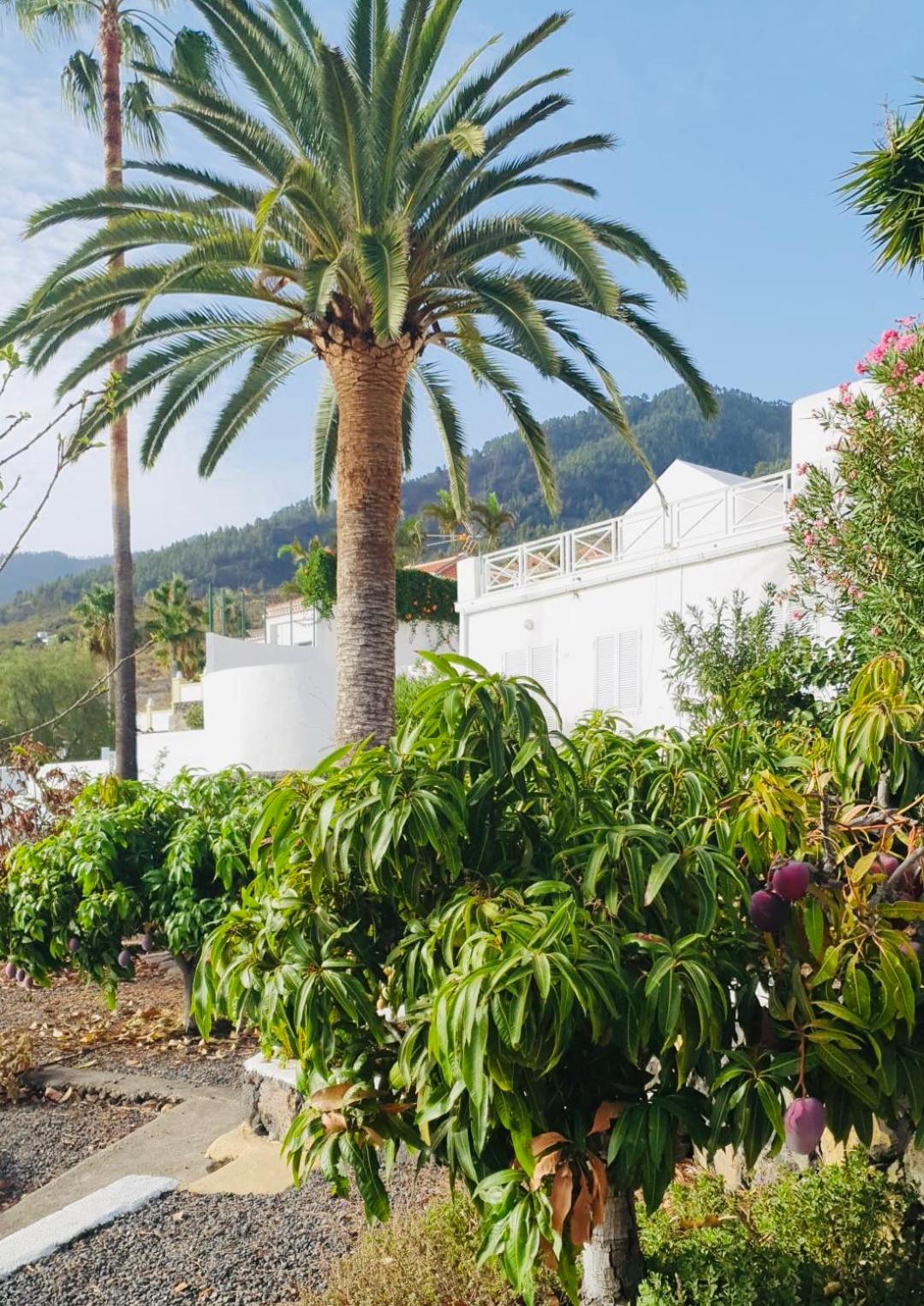 Rural Jardines la Quinta