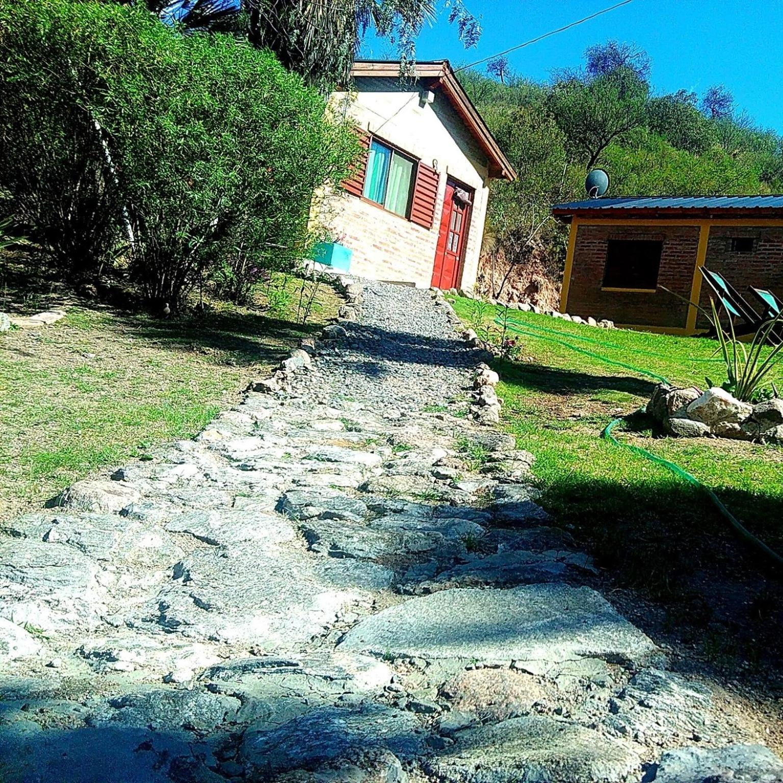 Palmares al cerro