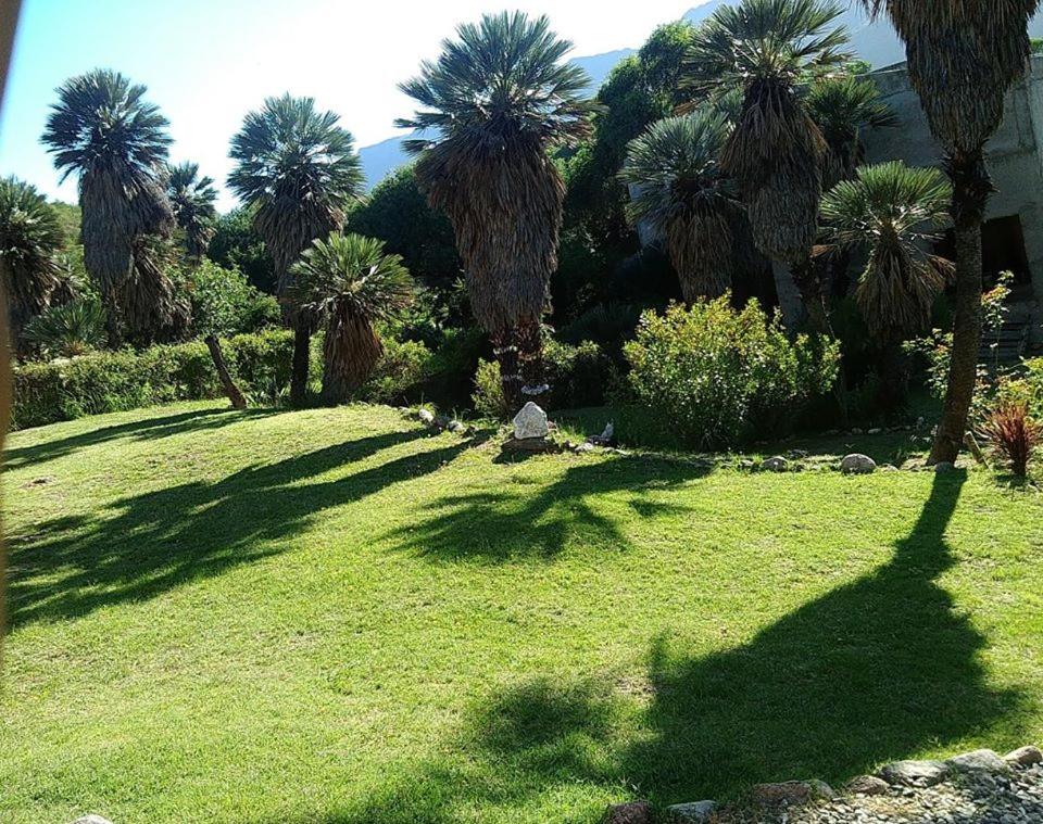 Palmares al cerro