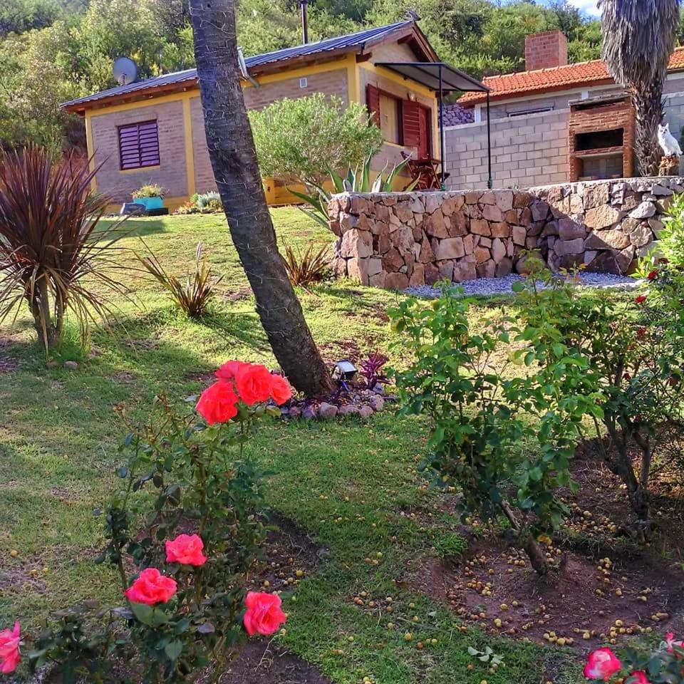 Palmares al cerro