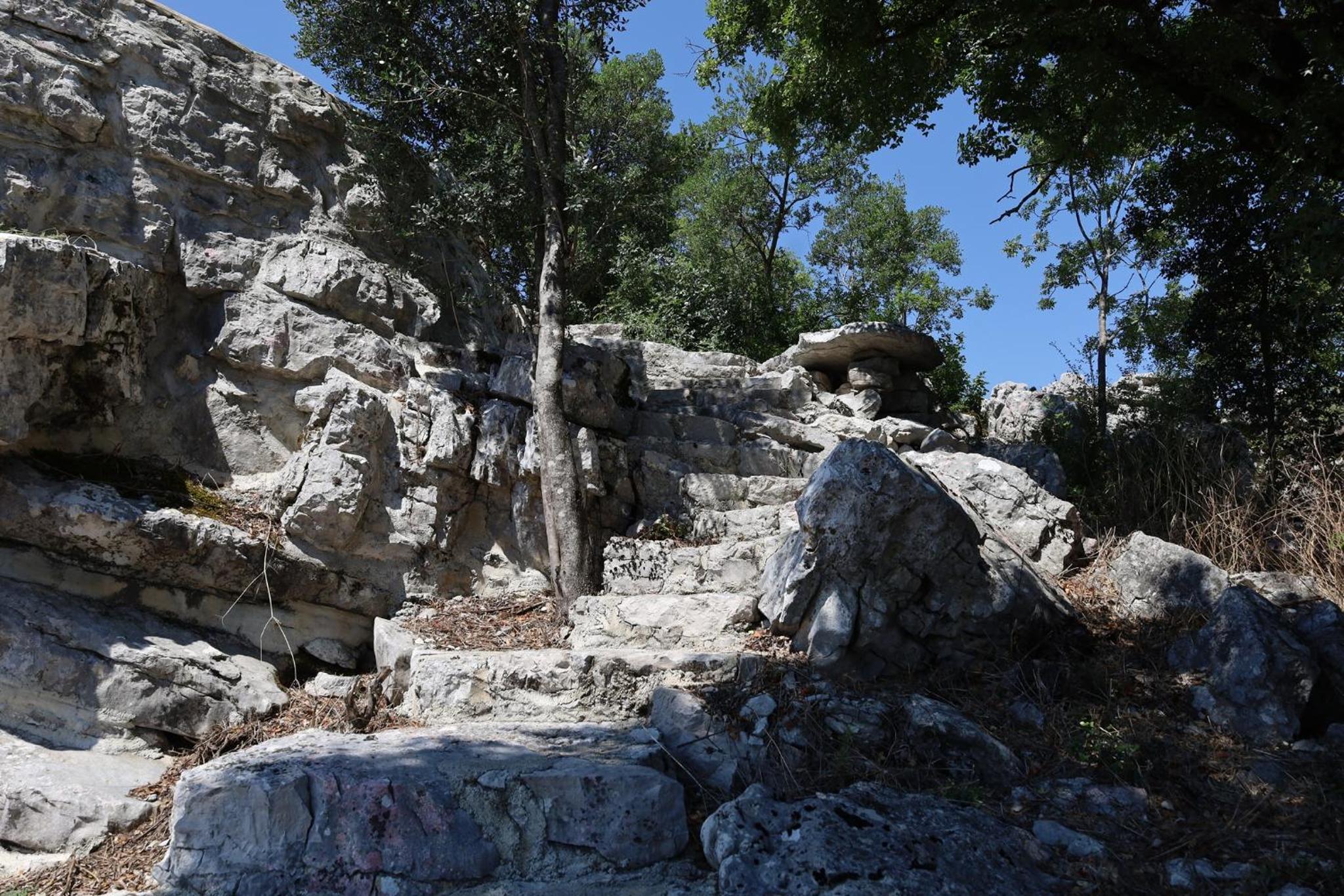 Photo 20