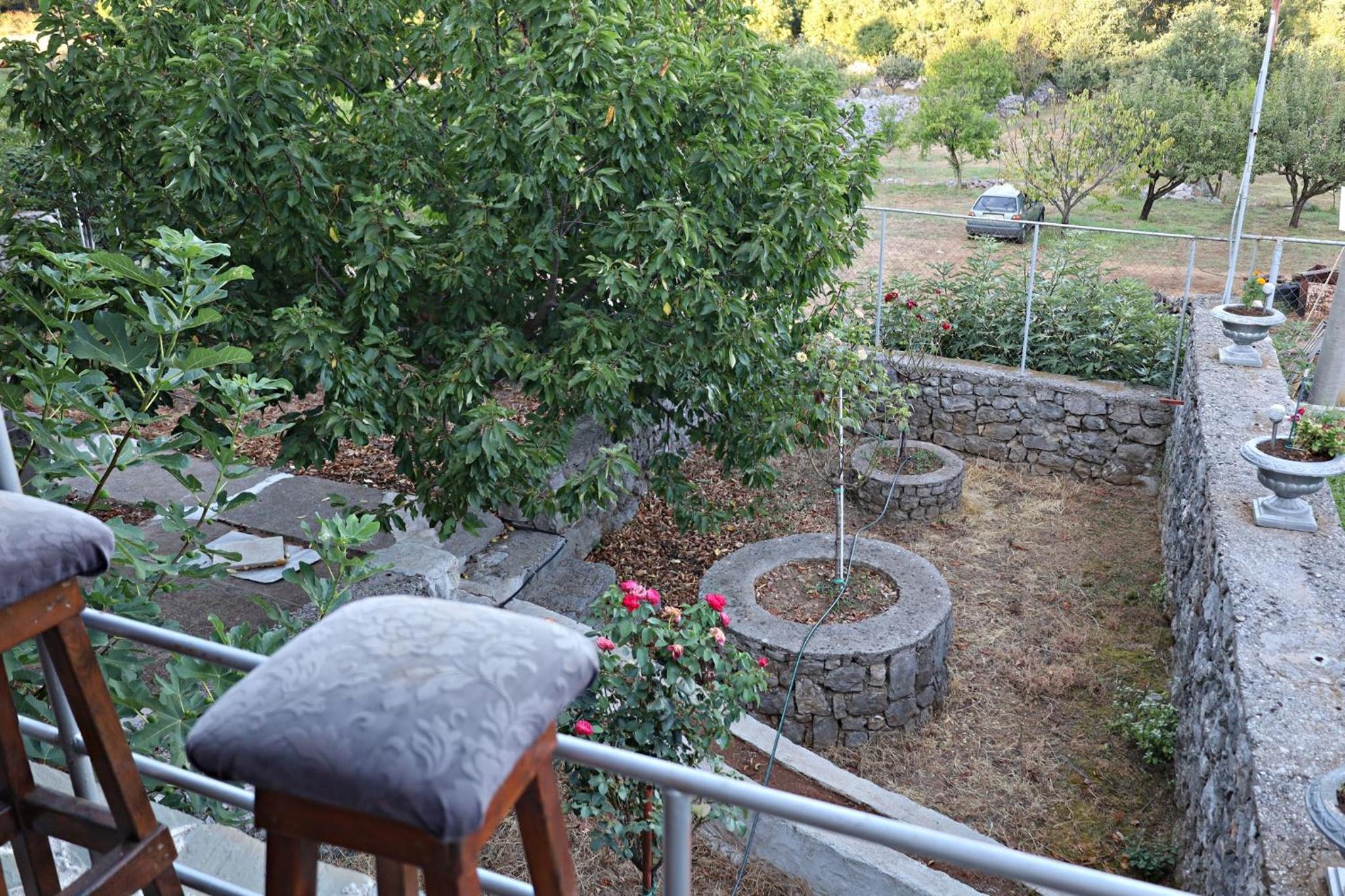 Photo 35
