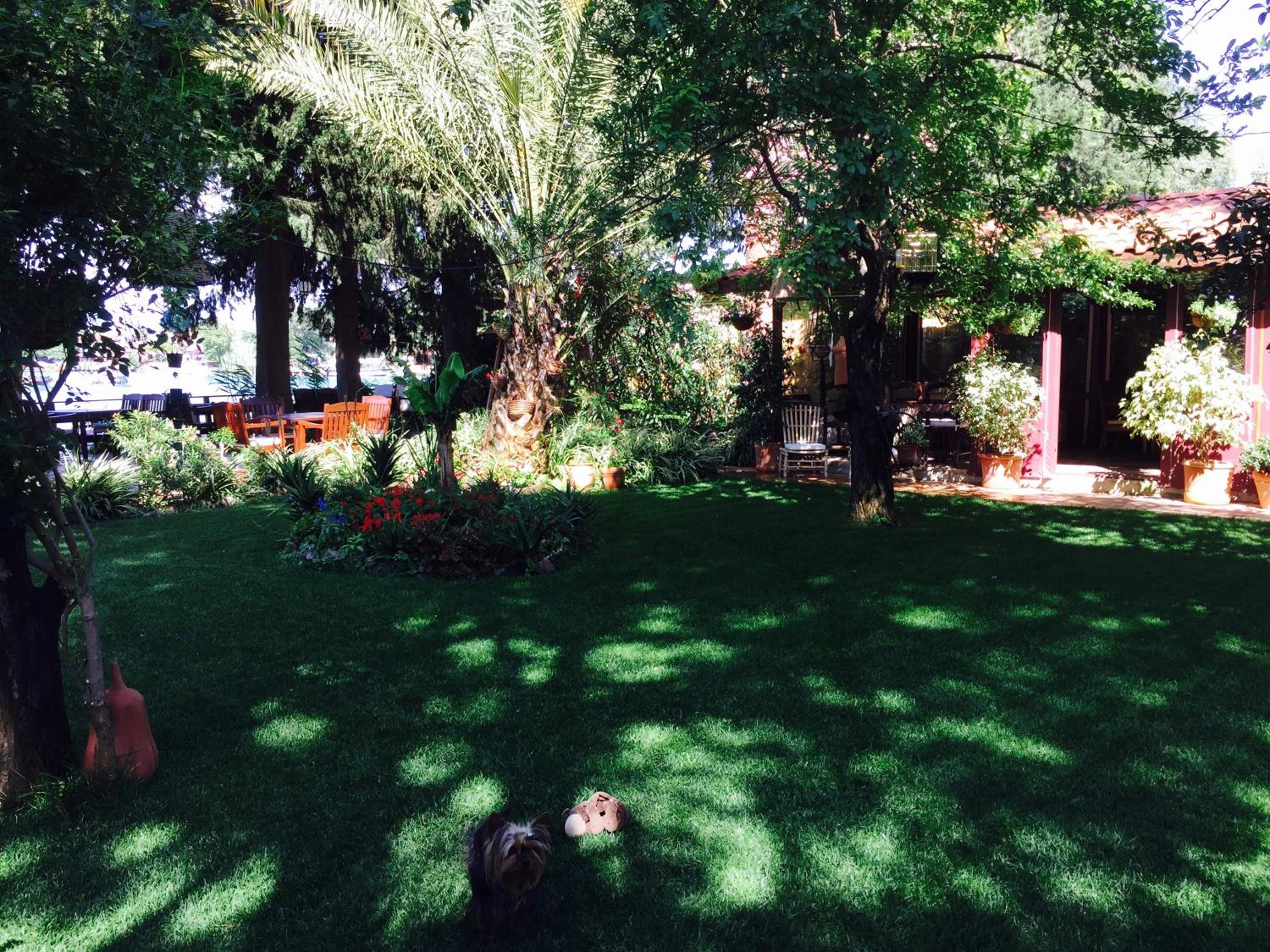 Hotel Happy Caretta