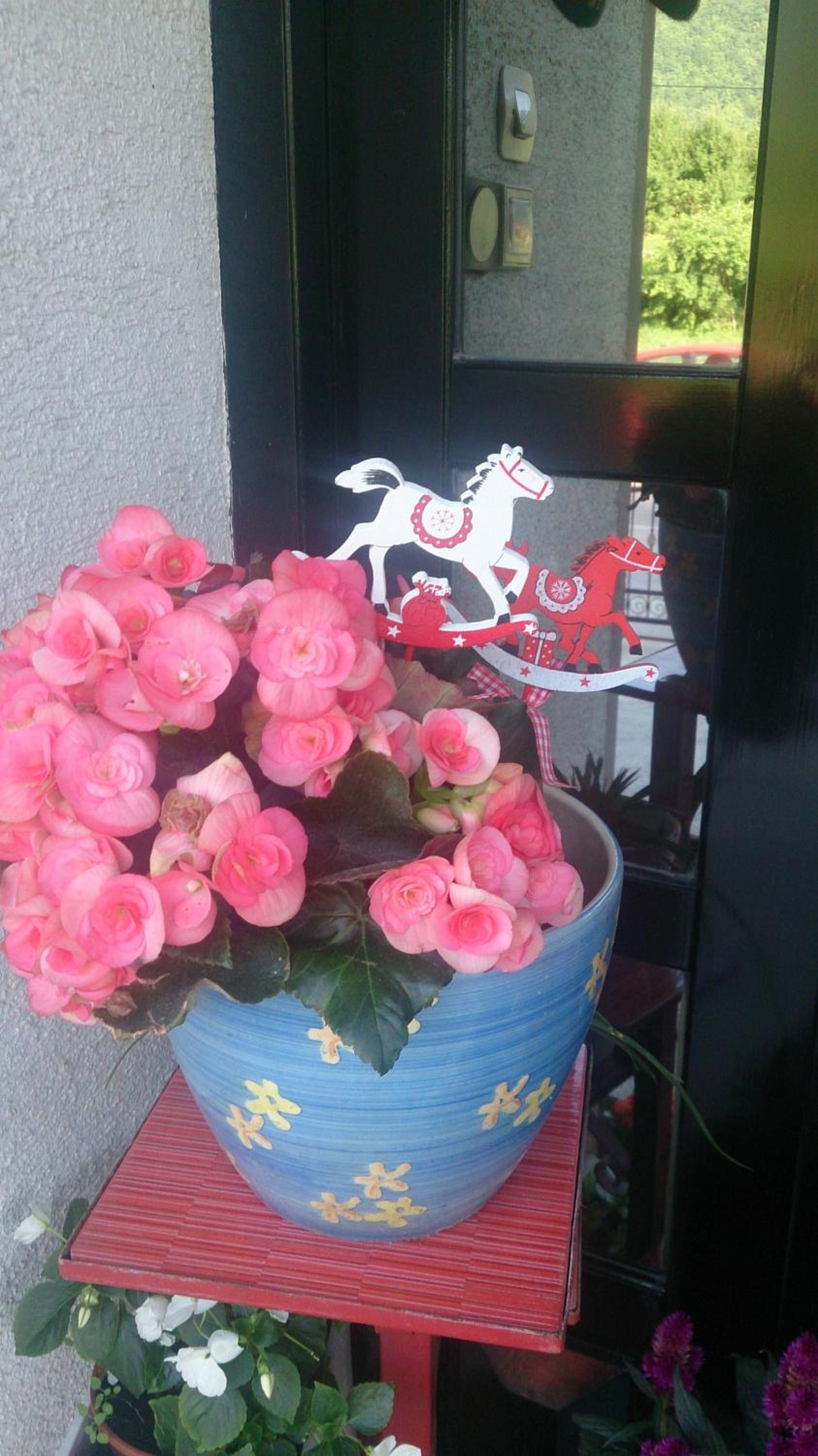 Photo 53