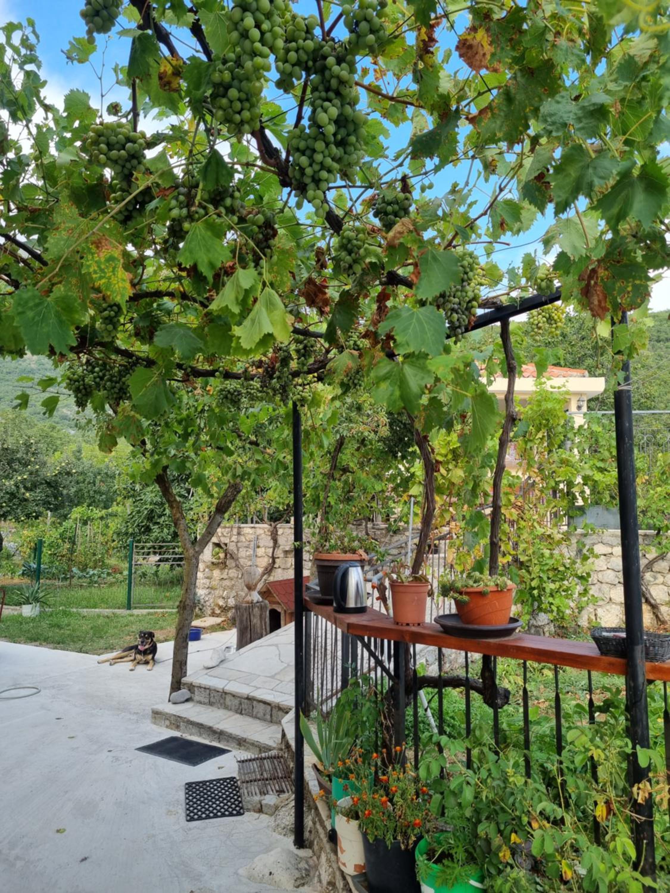 Guest house Duletic