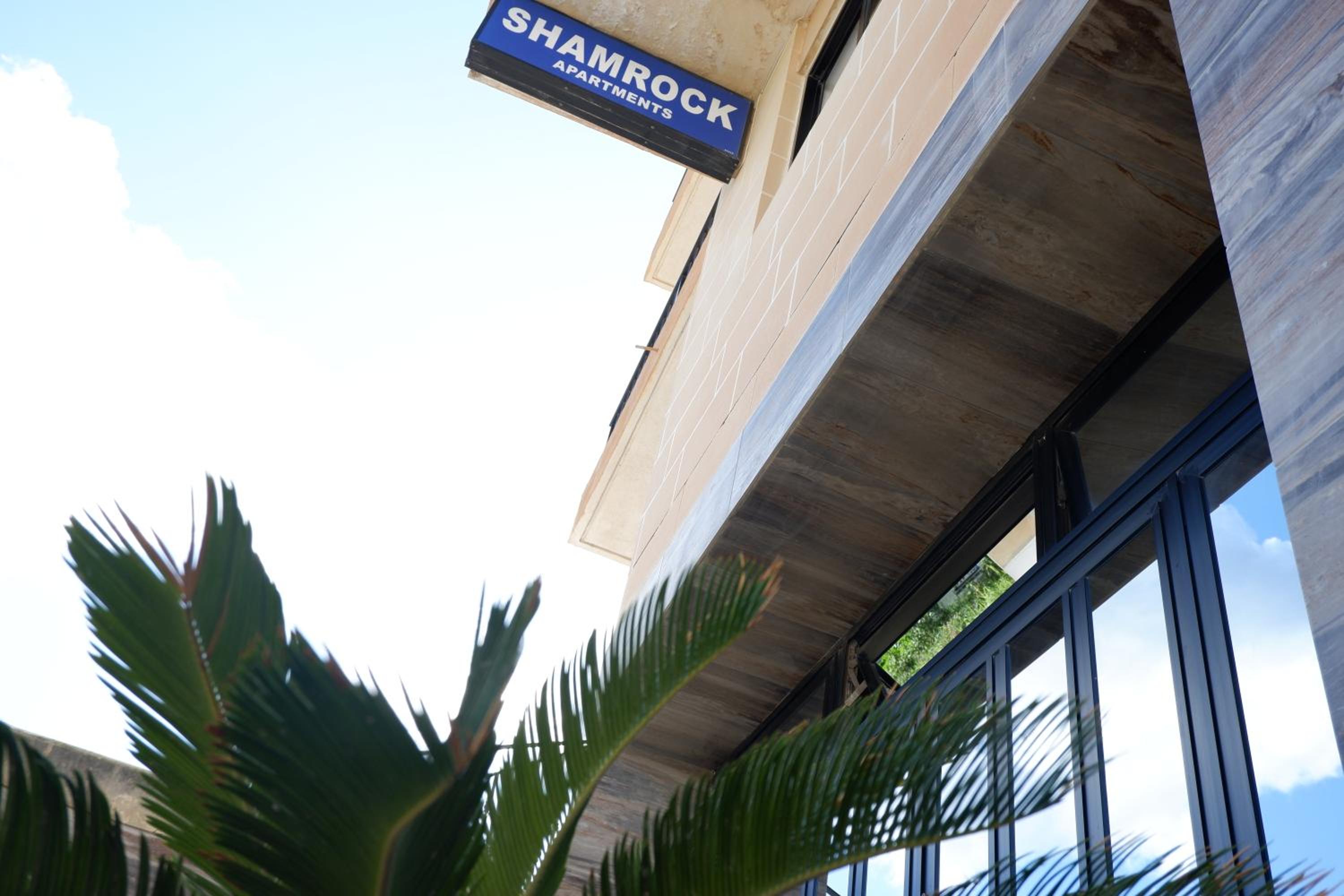 Shamrock Apartments photo 3