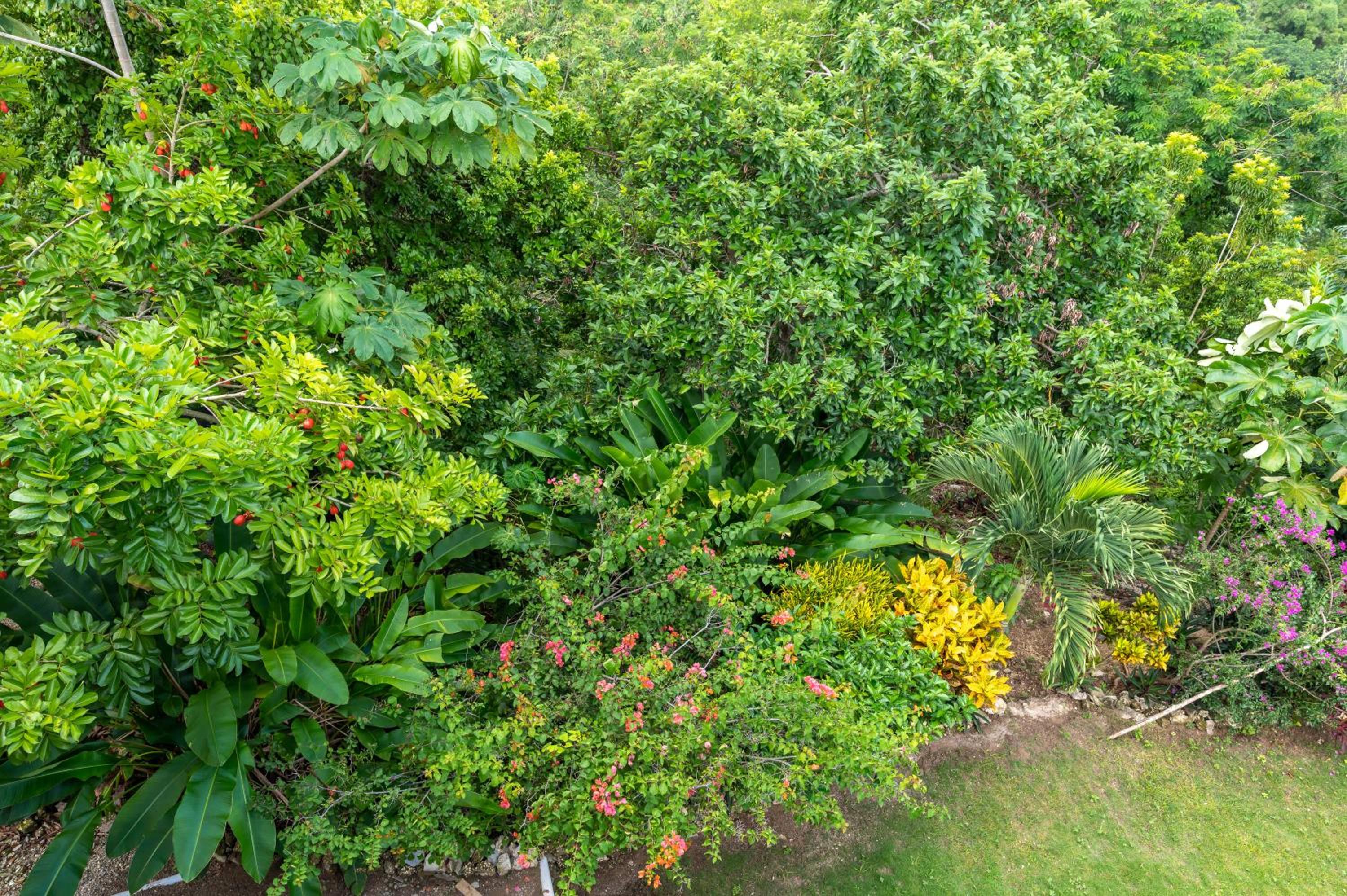 Coyaba 1 Bedroom Unit - Embrace Tranquility in the Hanover Countryside view 5