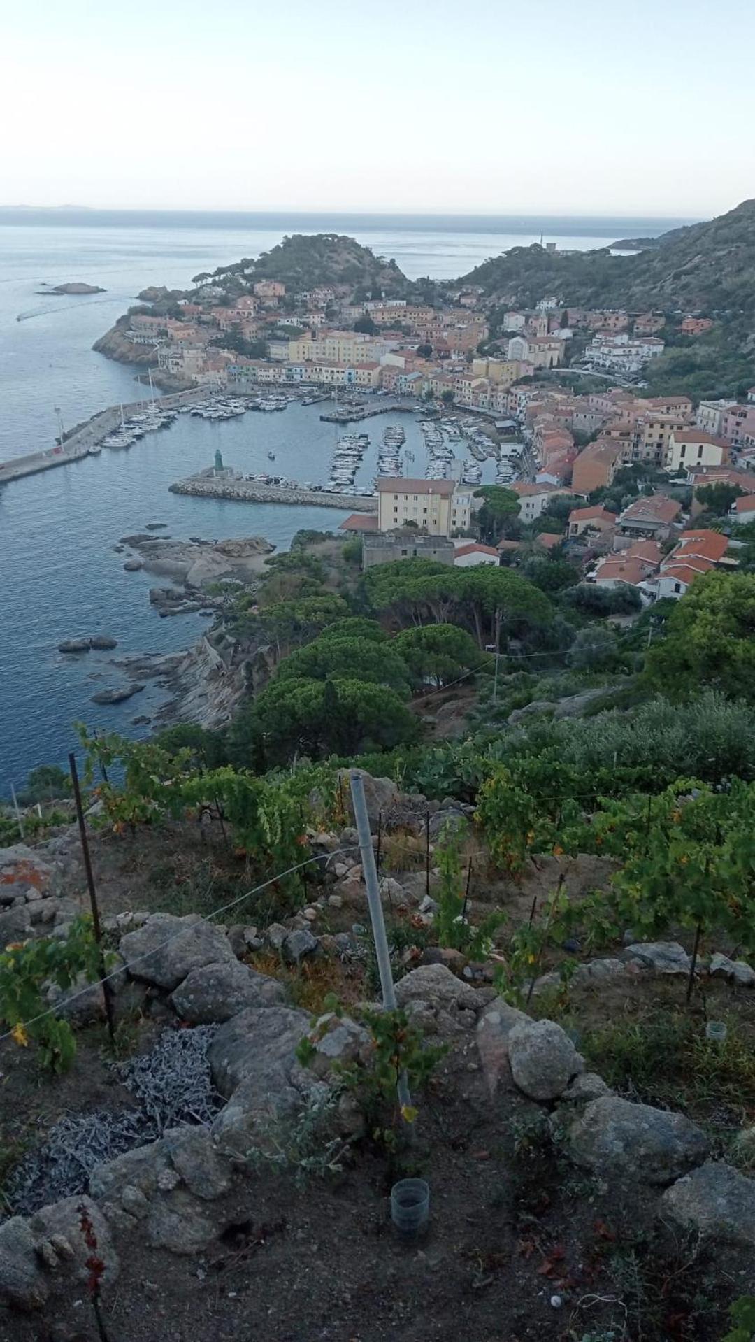 Isola del Giglio casa Nico e casa Camilla Monticello Giglio Porto