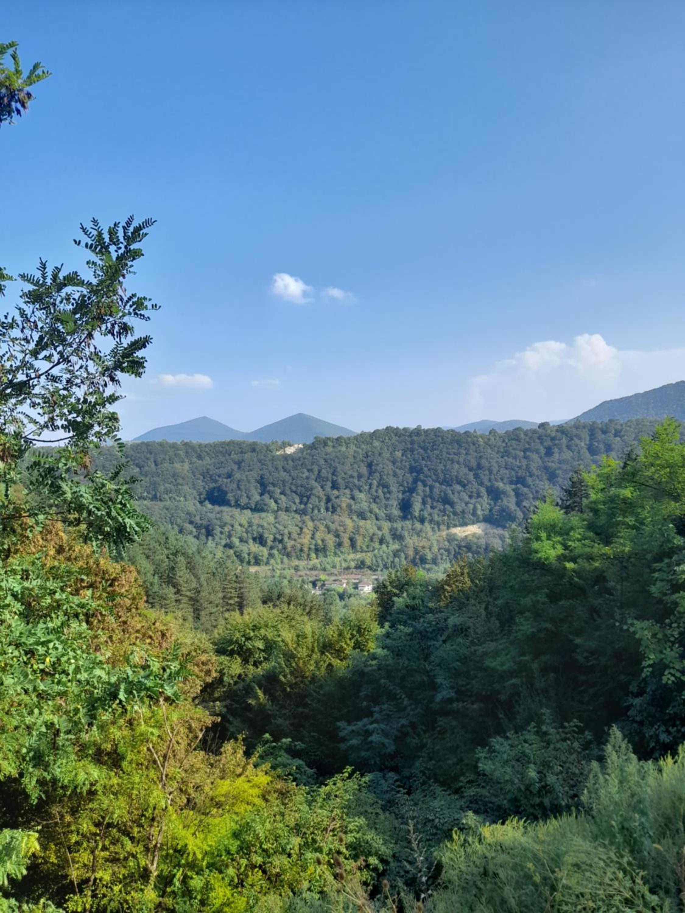 Apartman Ajla