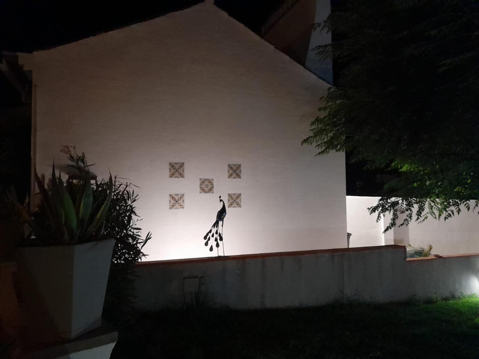 Pateo do Morgado - Turismo de Habitacao