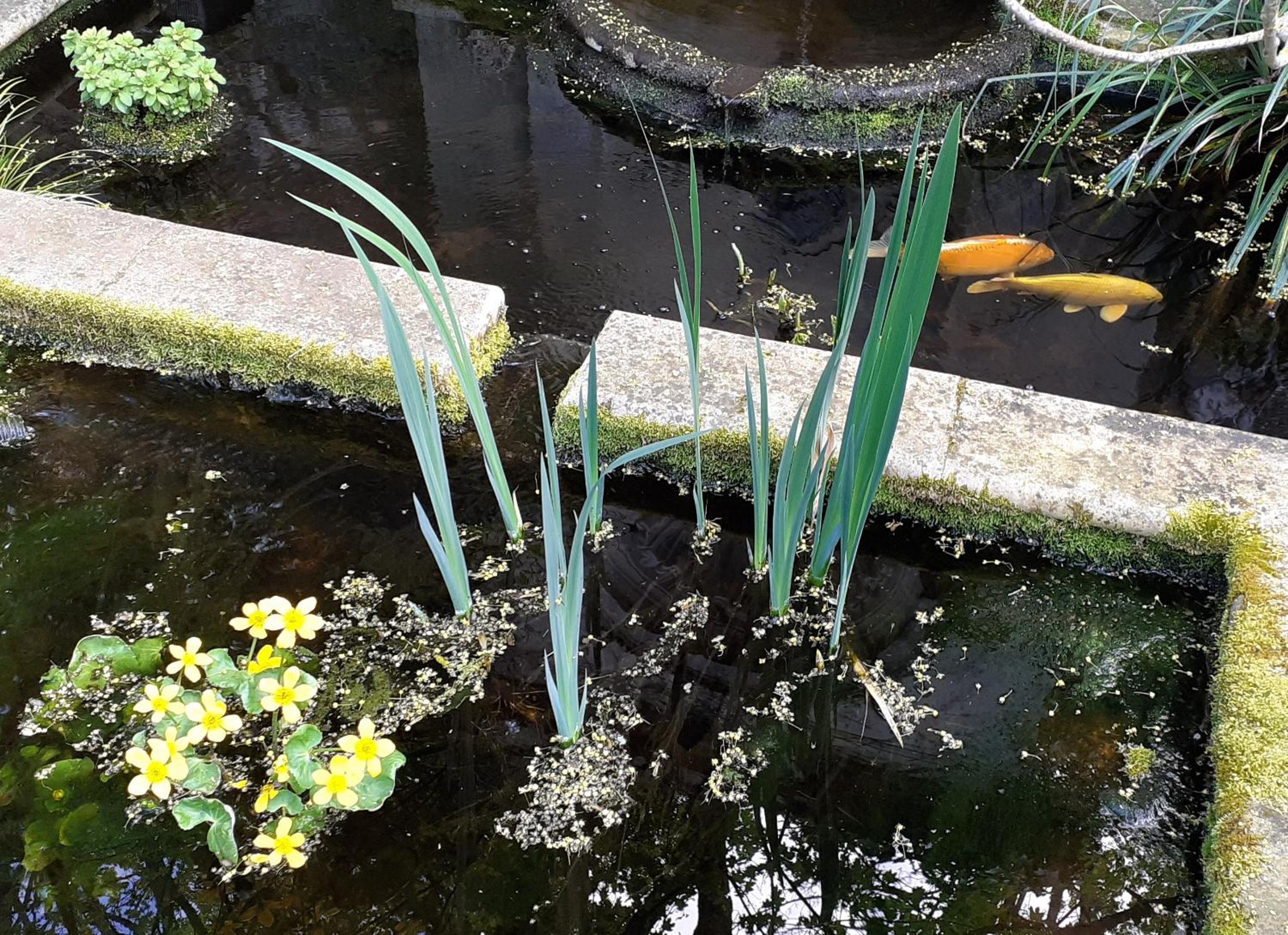 Photo 48
