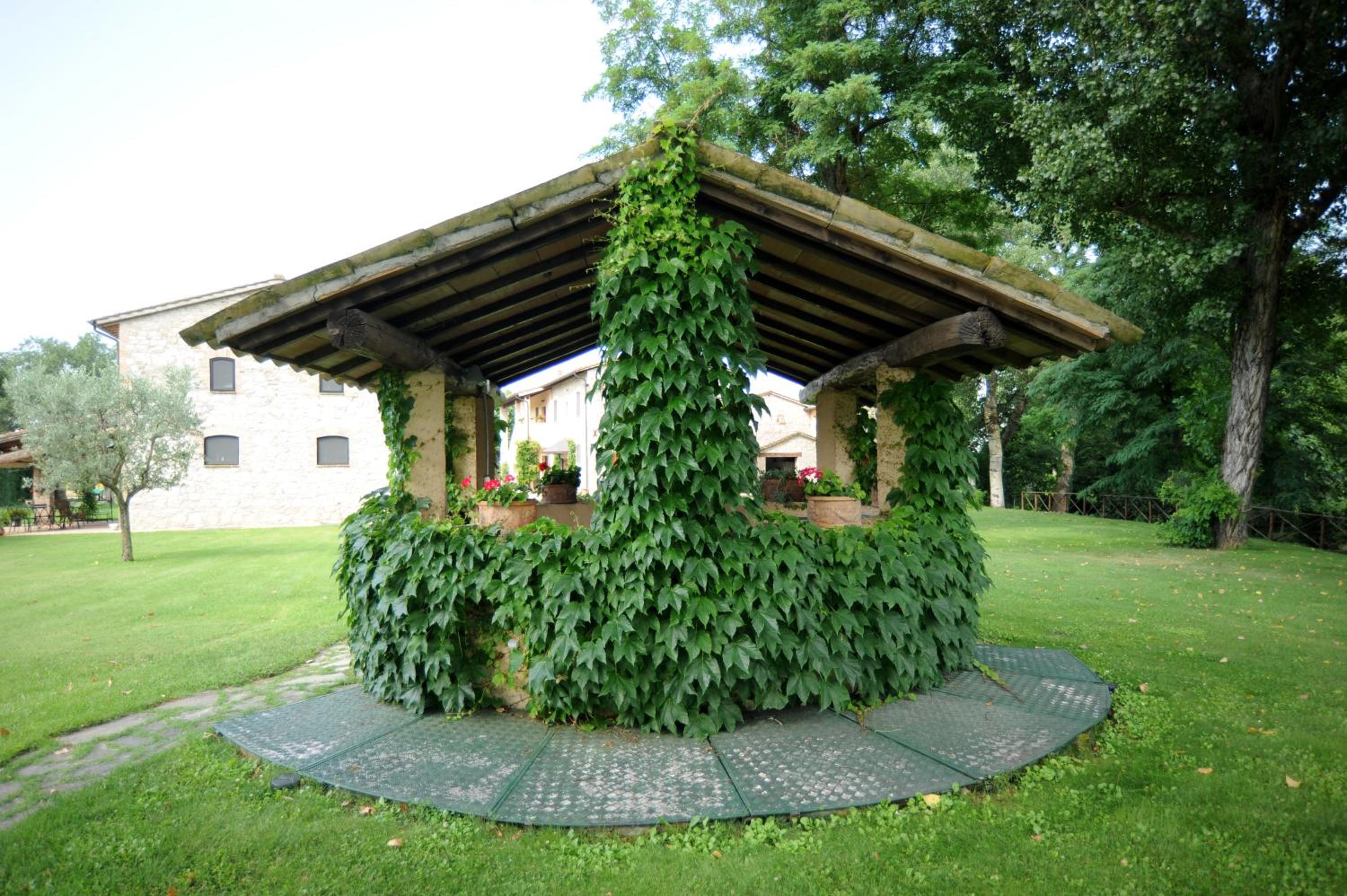 Photo 19