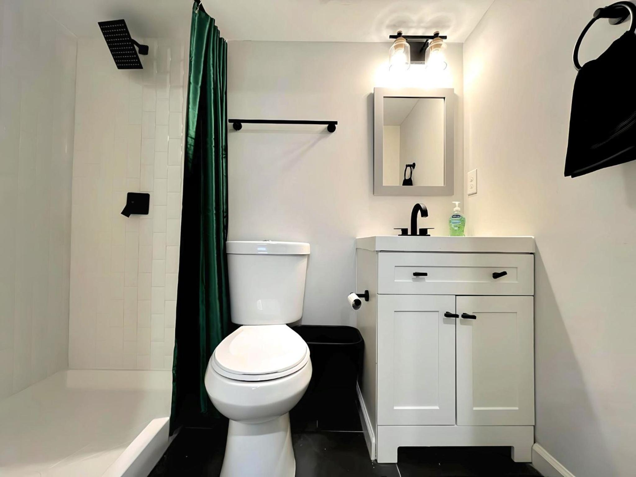 1 Bed 1 Bath Basement Apartment with Private Entrance view 5