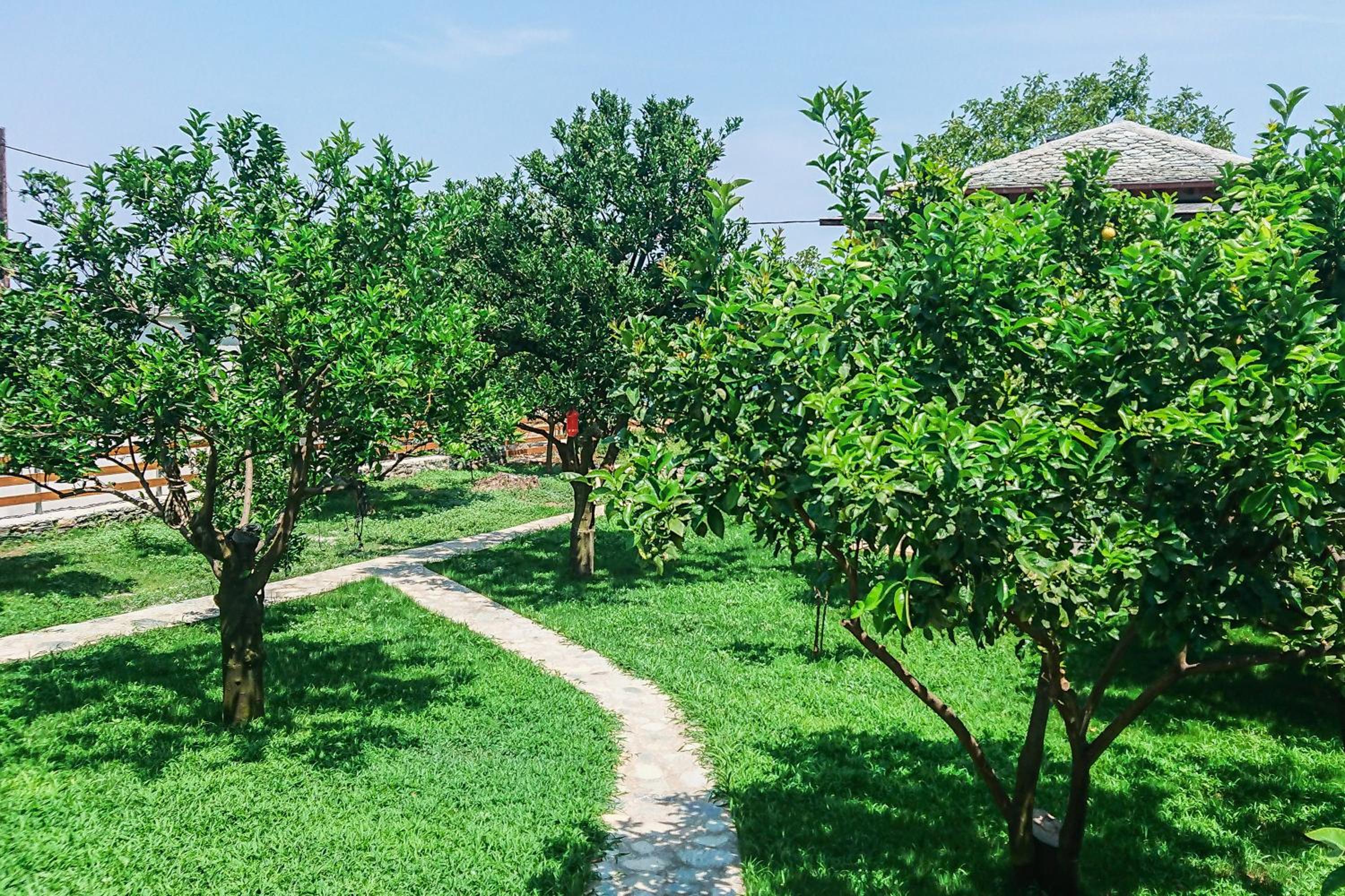 Lemongarden by the sea view 2