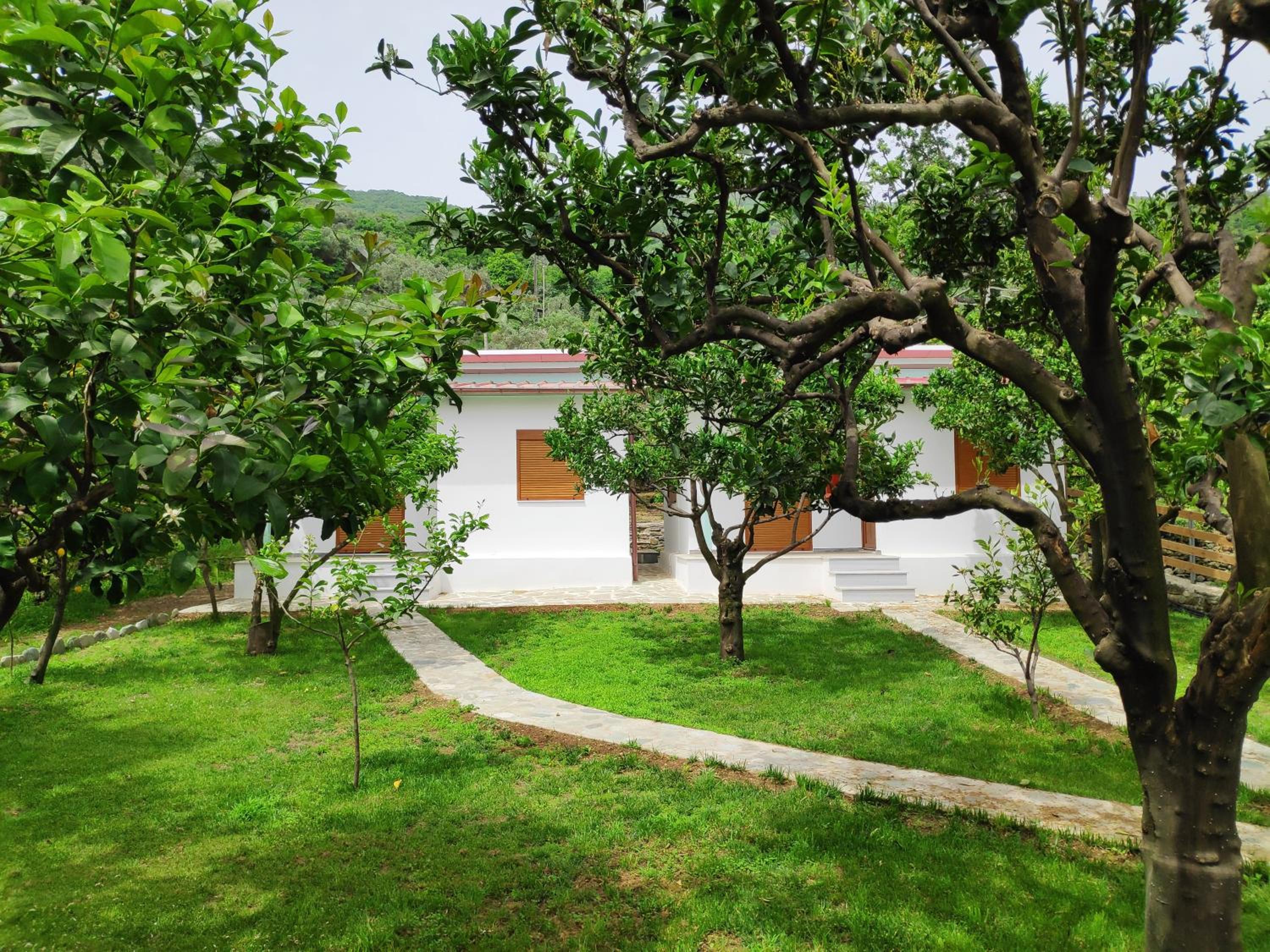 Lemongarden by the sea view 4