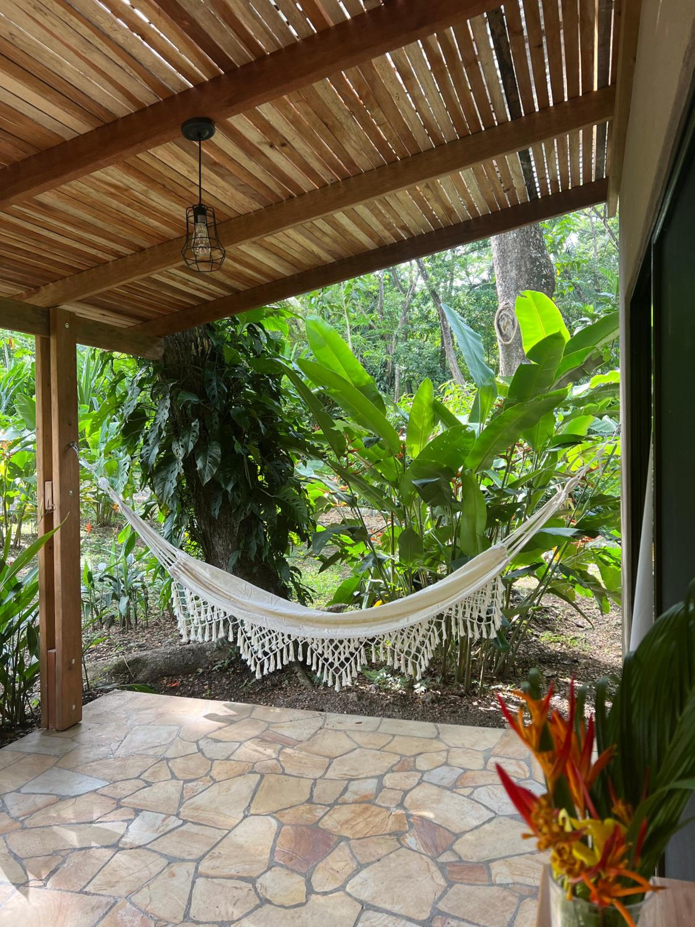 Feeling Trees Jungle Lodge