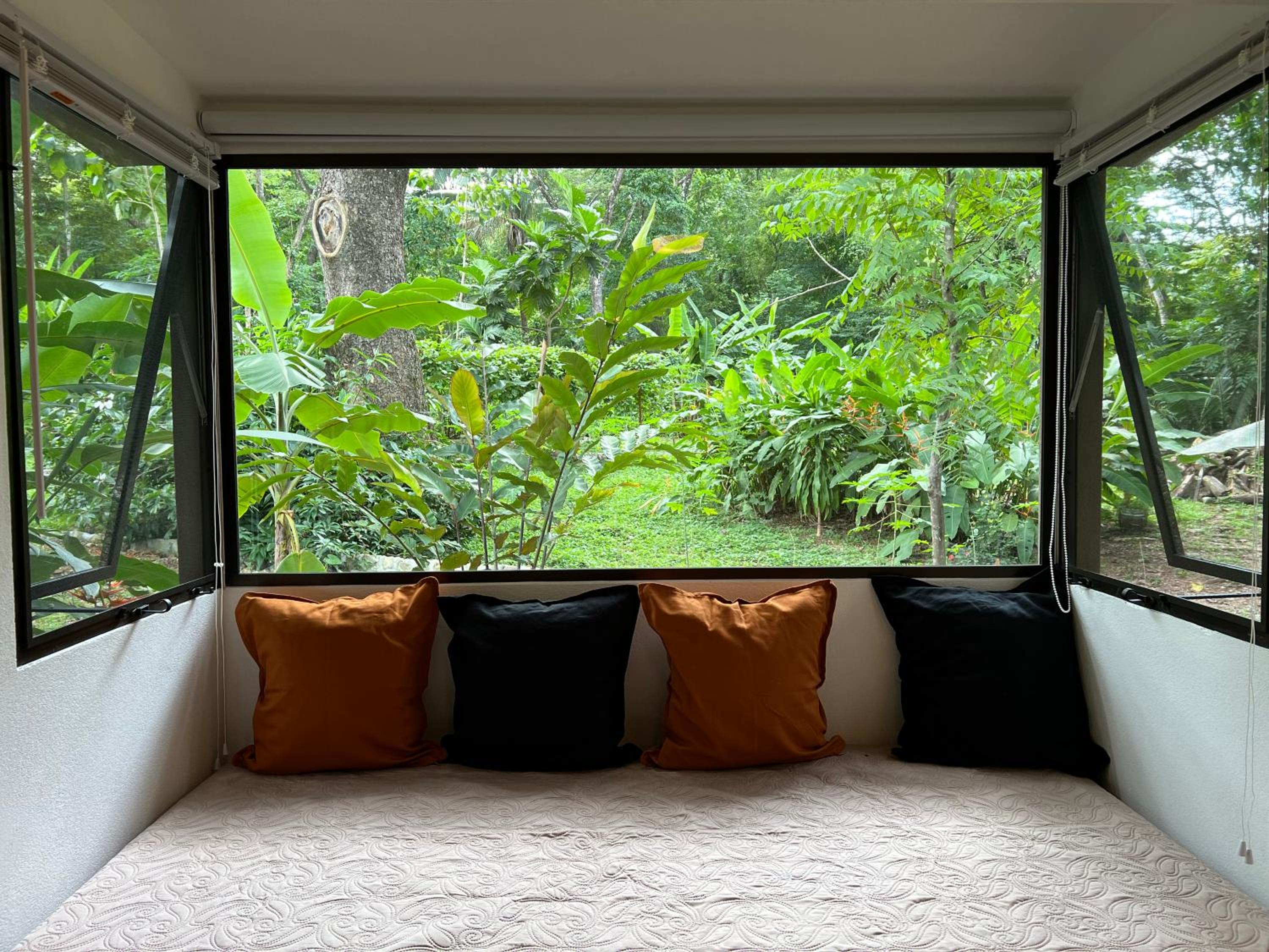 Feeling Trees Jungle Lodge