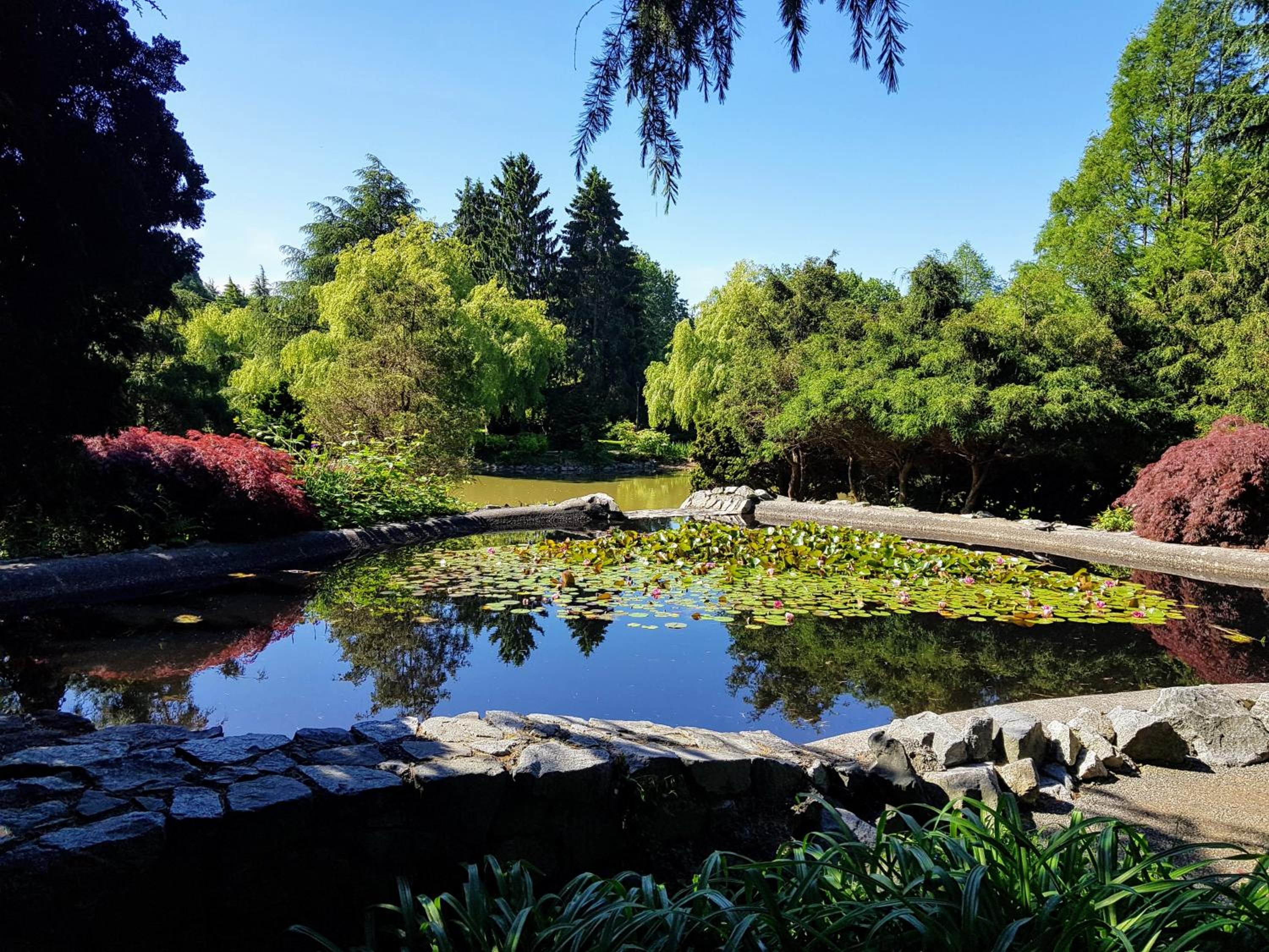 Rose Garden Vacation Studio