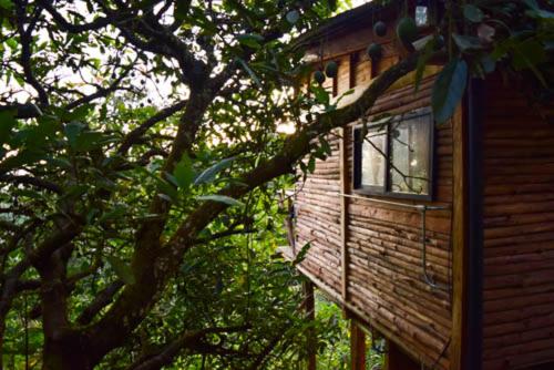 Glamping con jacuzzi cerca a Medellin