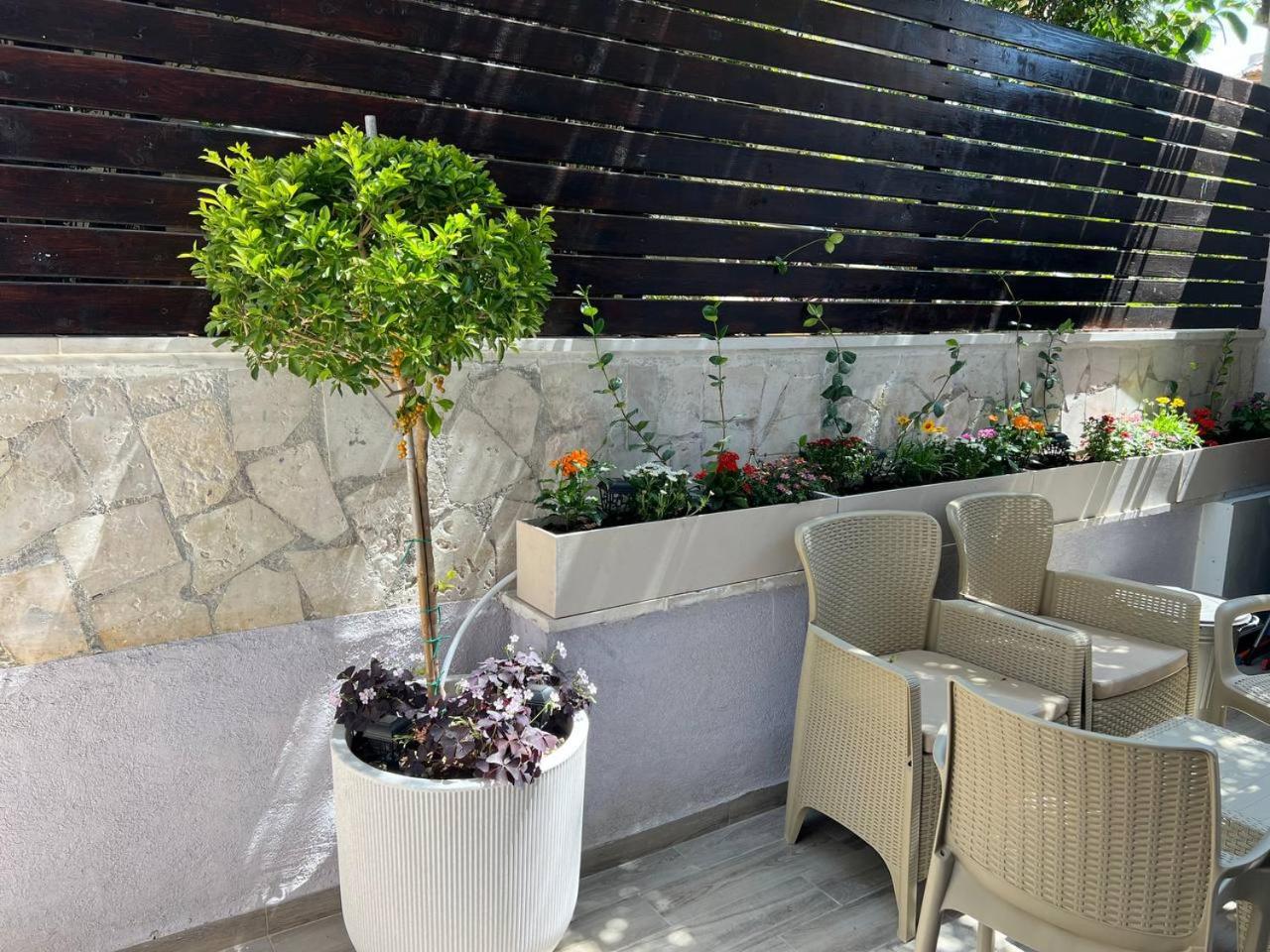 city center apartment