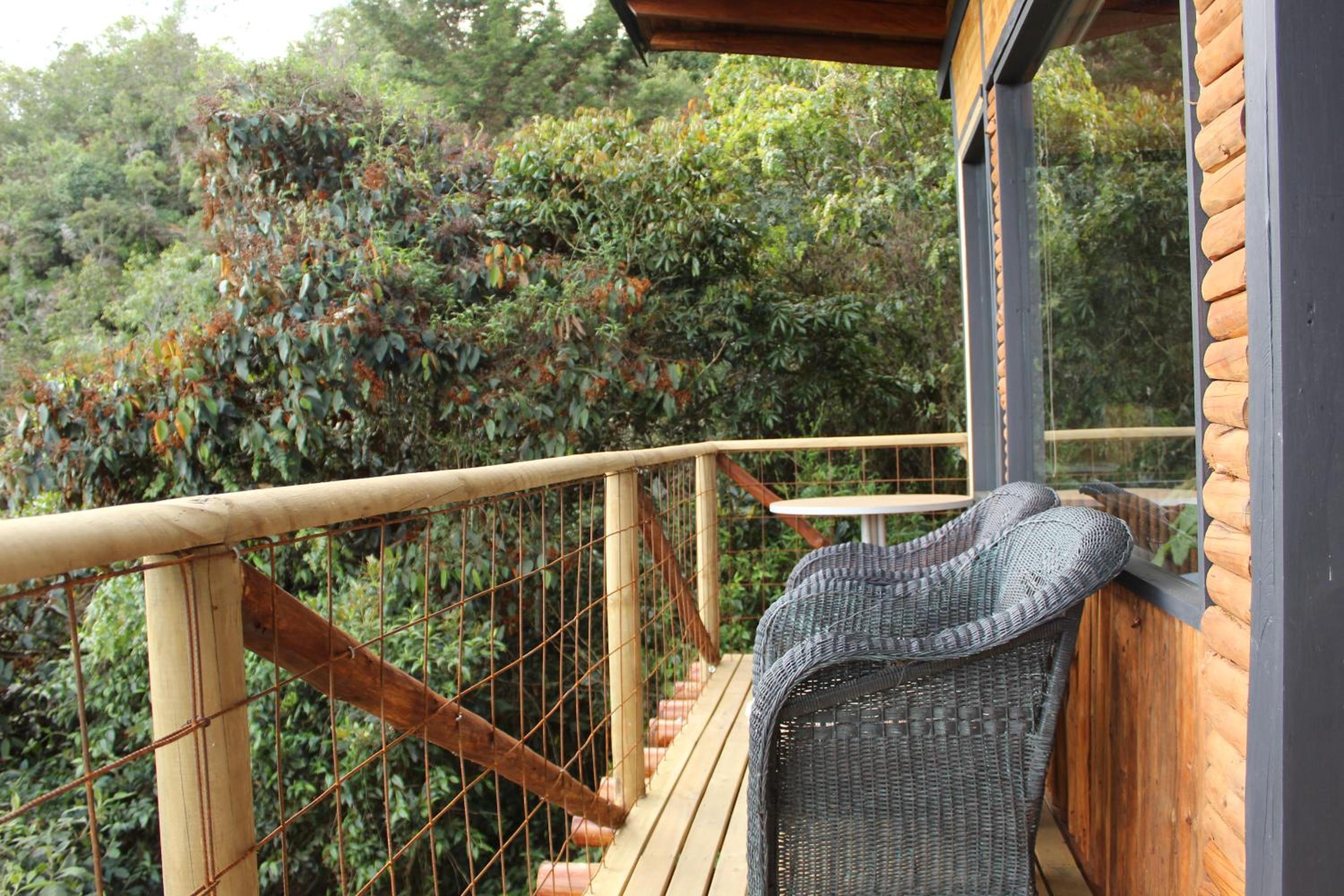 Glamping con jacuzzi cerca a Medellin