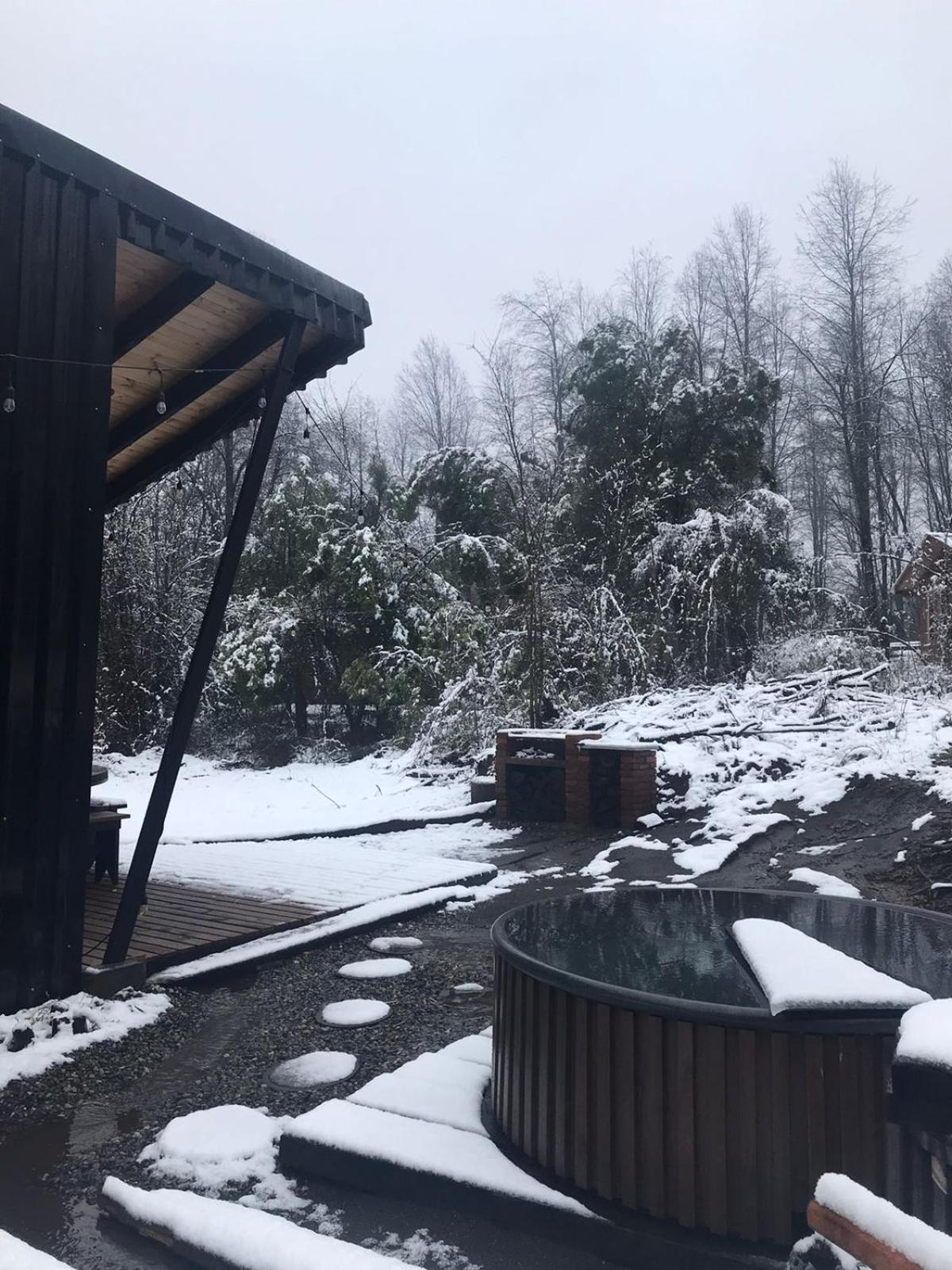 Cabaña en el bosque-Termas de Chillán