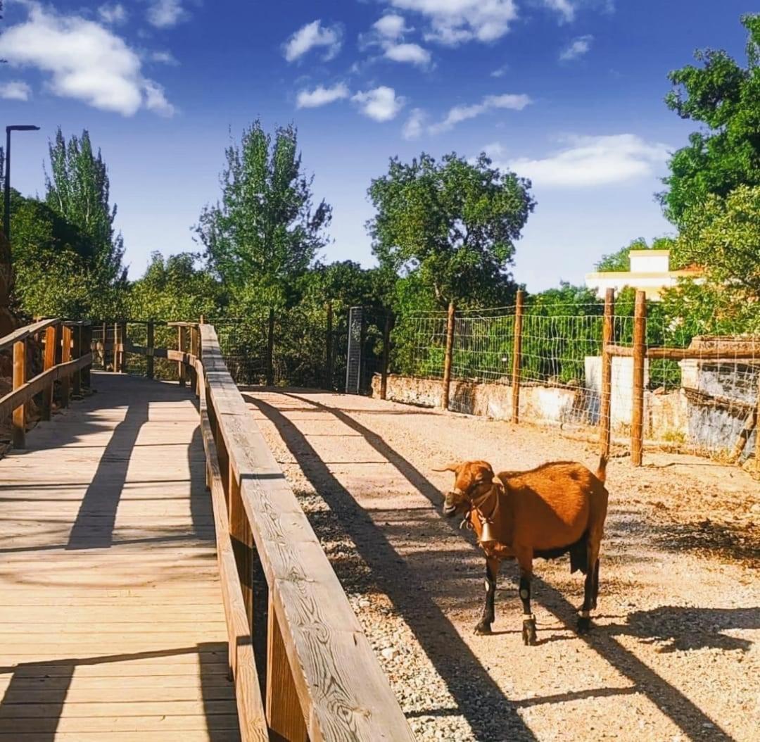 CASAS NAS TERMAS