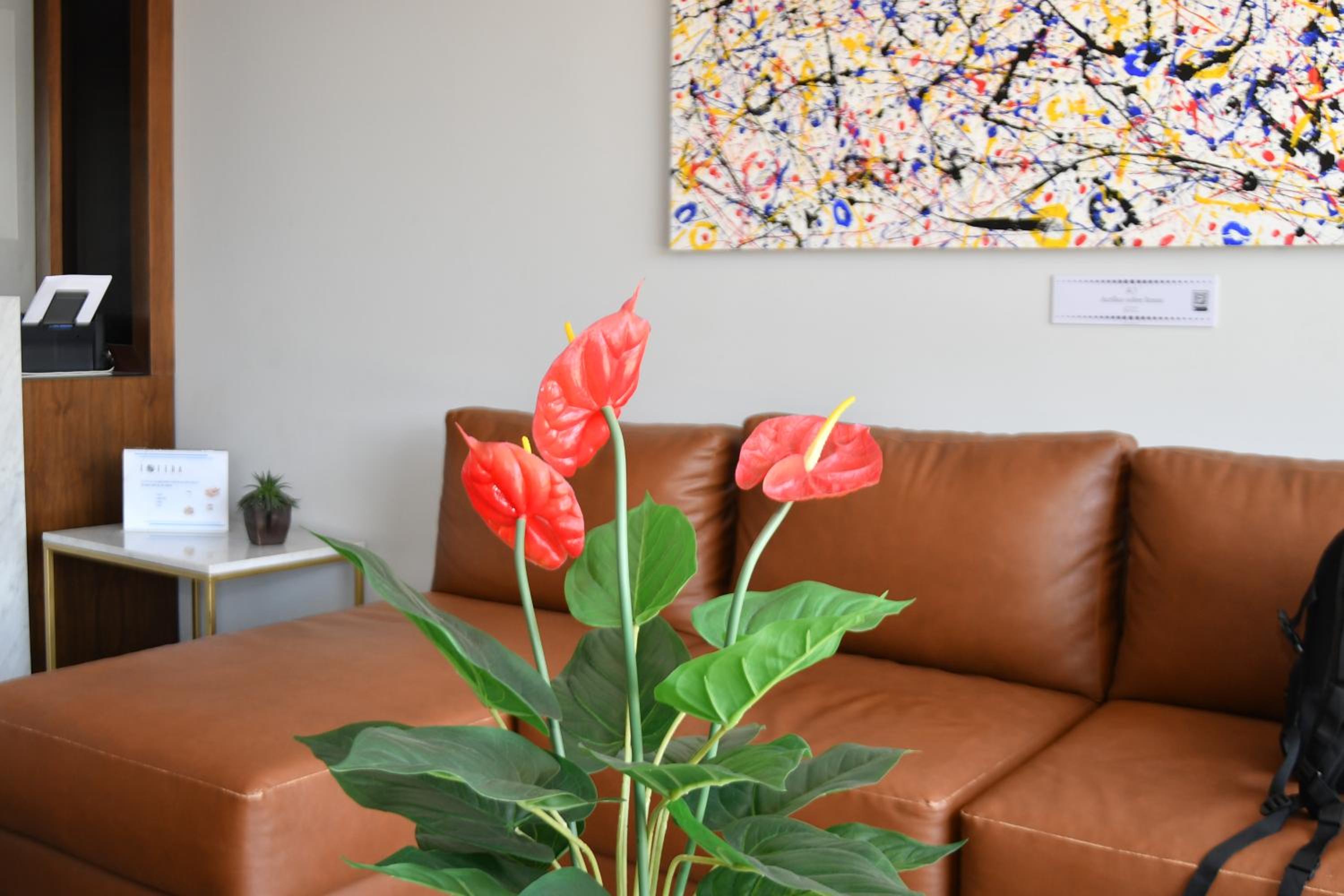 Hotel Esfera Tulancingo, photo 24