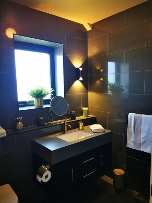 Luxury Apartment Brighton and South Downs National Park, Free Parking, animals on request daily fee
