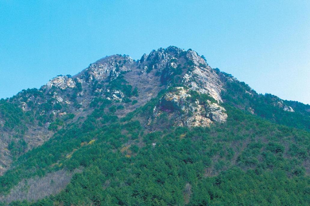 Pataya Motel, Geoje - 11