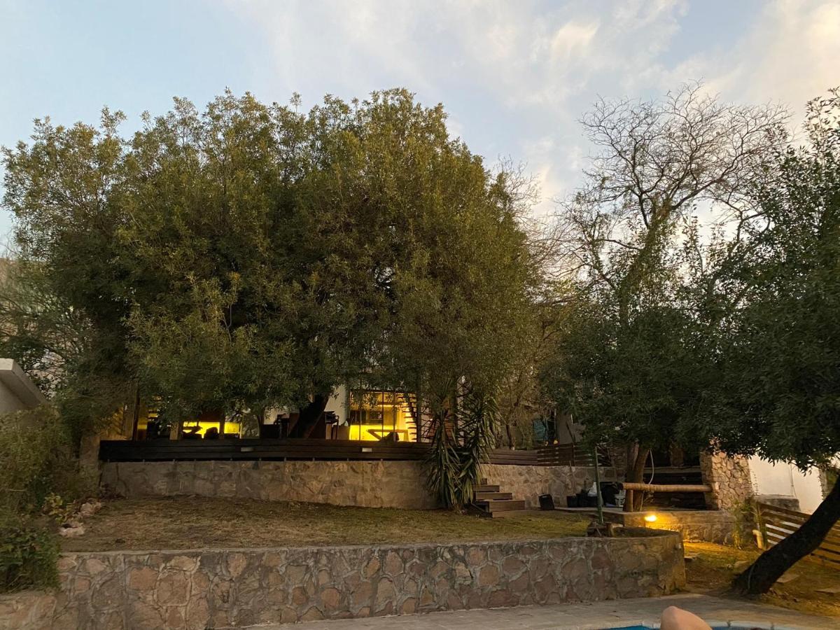 Loft de Montaña