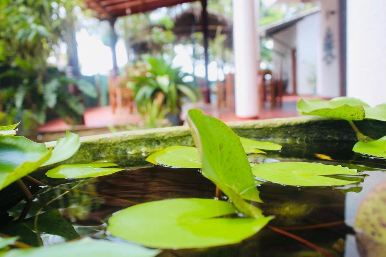 Sunrise Guest House & Restaurant